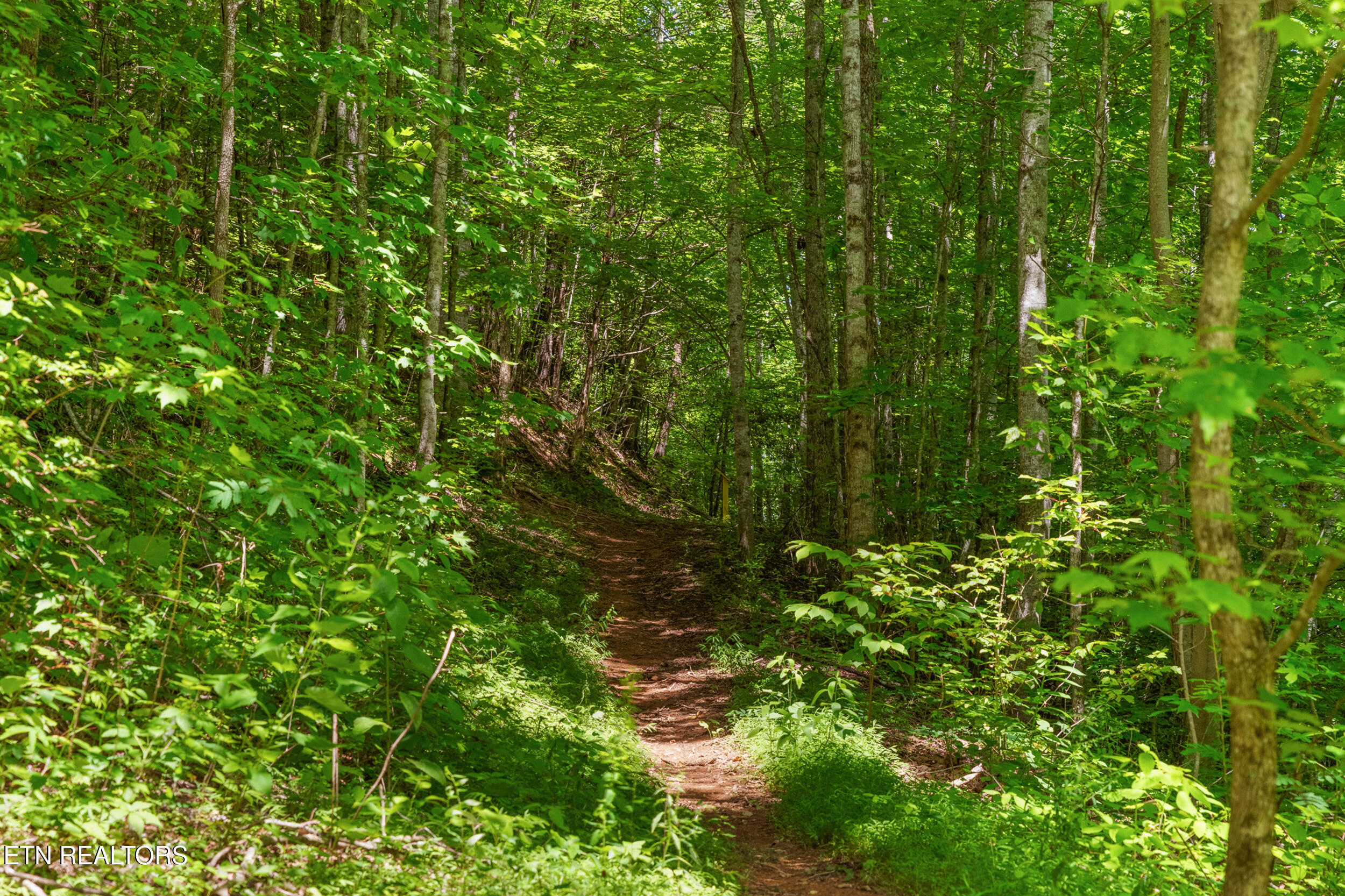 2792 Happy Hollow Road Sevierville TN 37862
