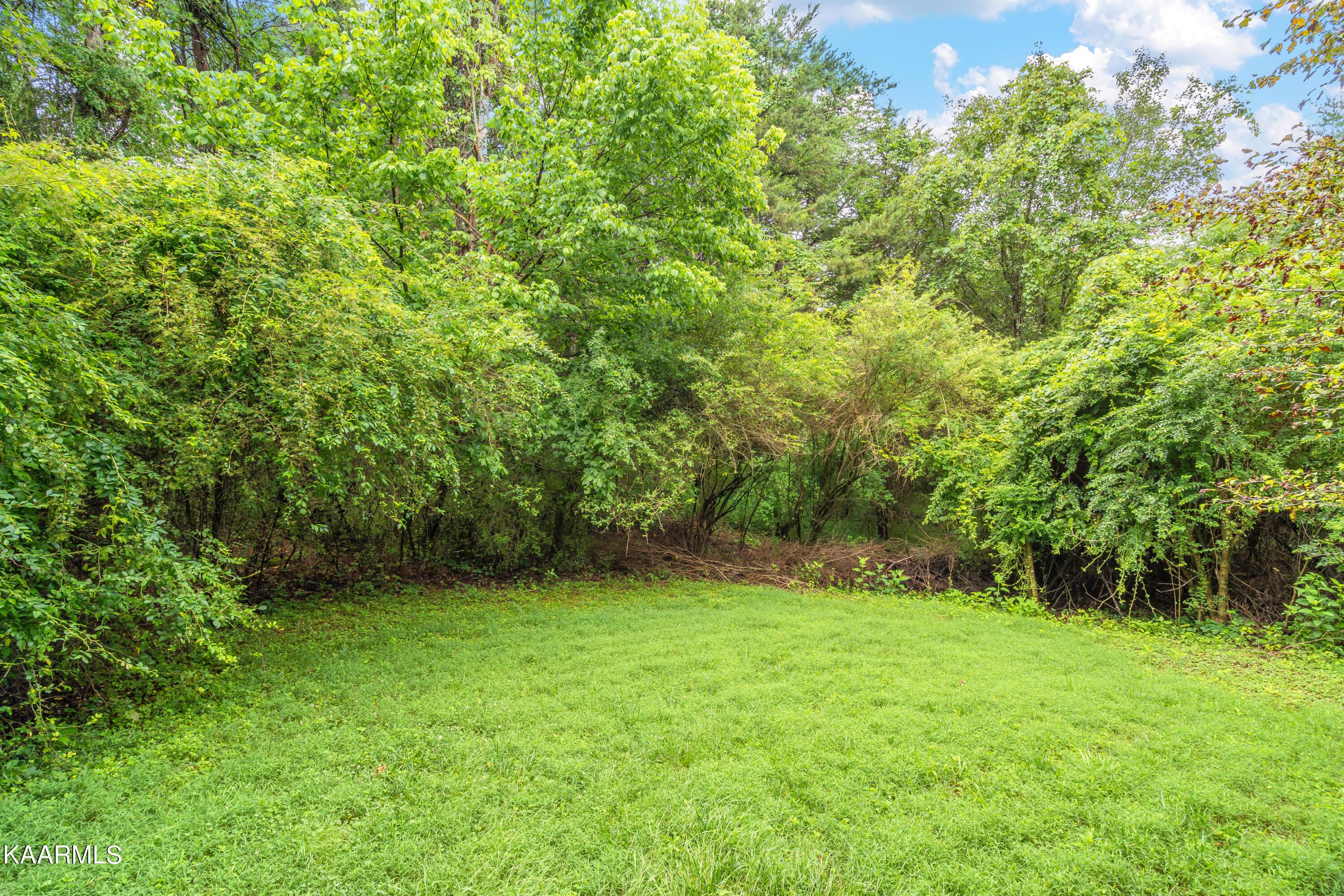 102 Amohi Way Loudon TN 37774
