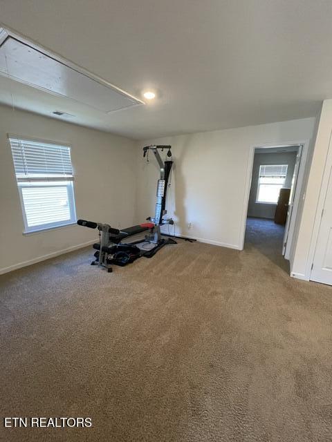 146 Ibis Loop Oak Ridge TN 37830