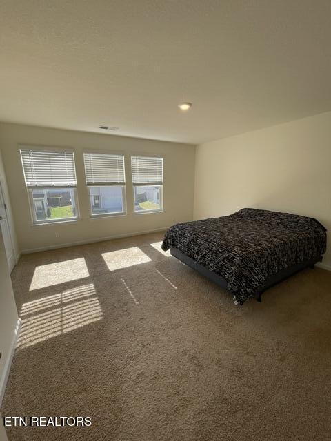 146 Ibis Loop Oak Ridge TN 37830