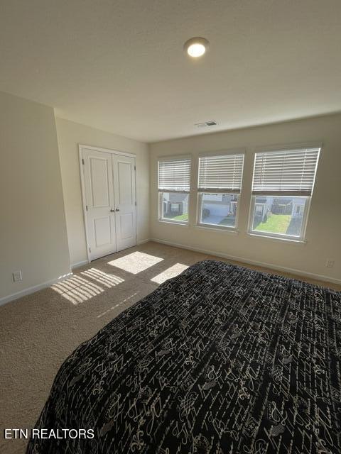 146 Ibis Loop Oak Ridge TN 37830