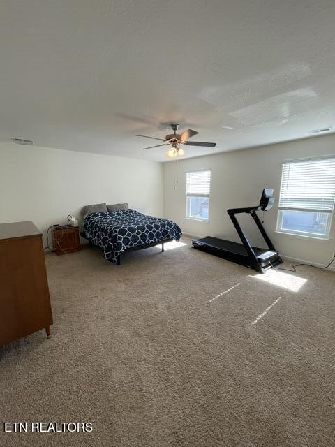 146 Ibis Loop Oak Ridge TN 37830