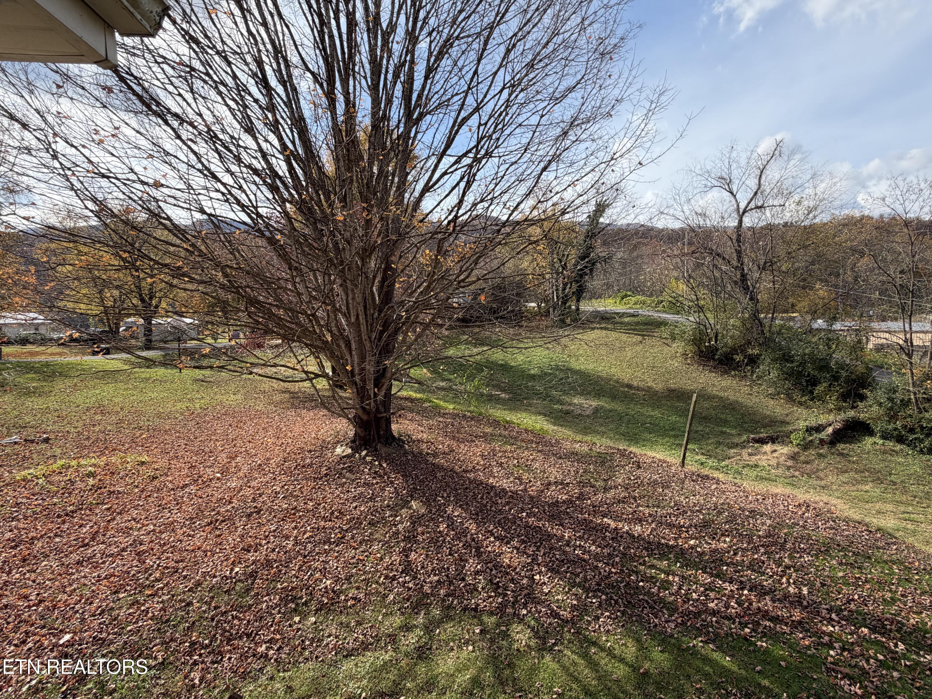 120 W Lowe Drive Caryville TN 37714
