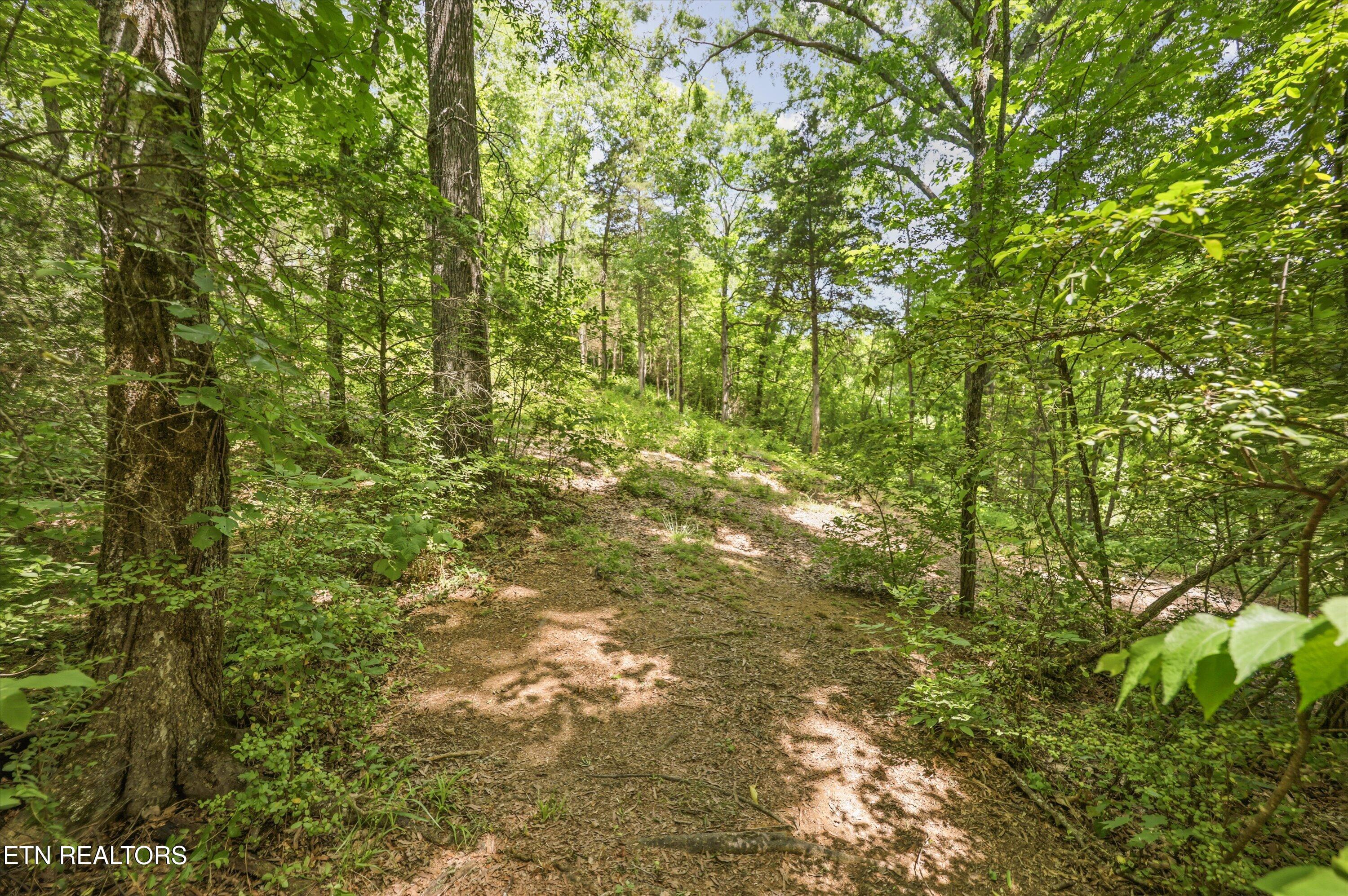 320 Cherry Hill Way Newport TN 37821