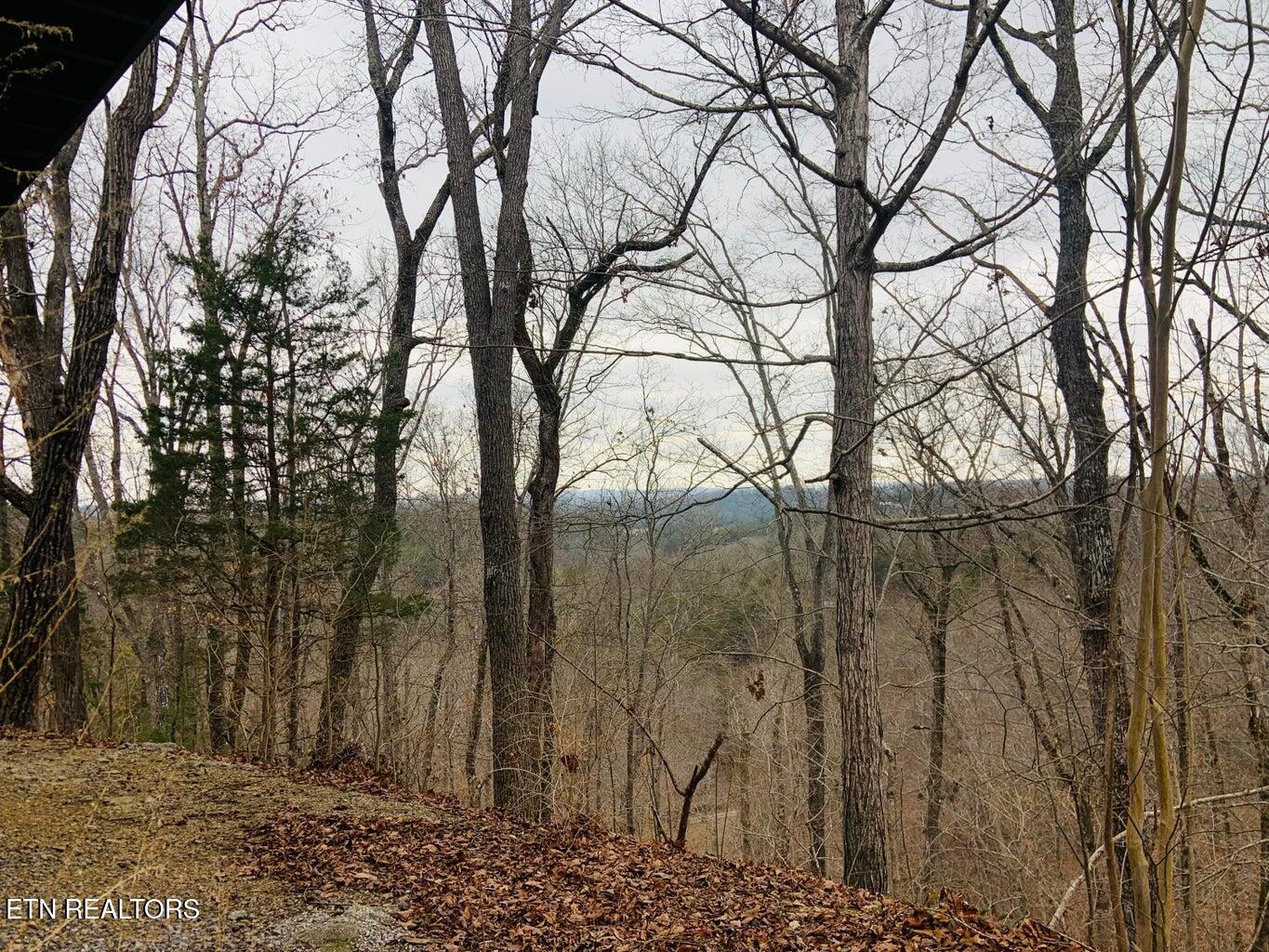1581 Romary Road Dandridge TN 37725