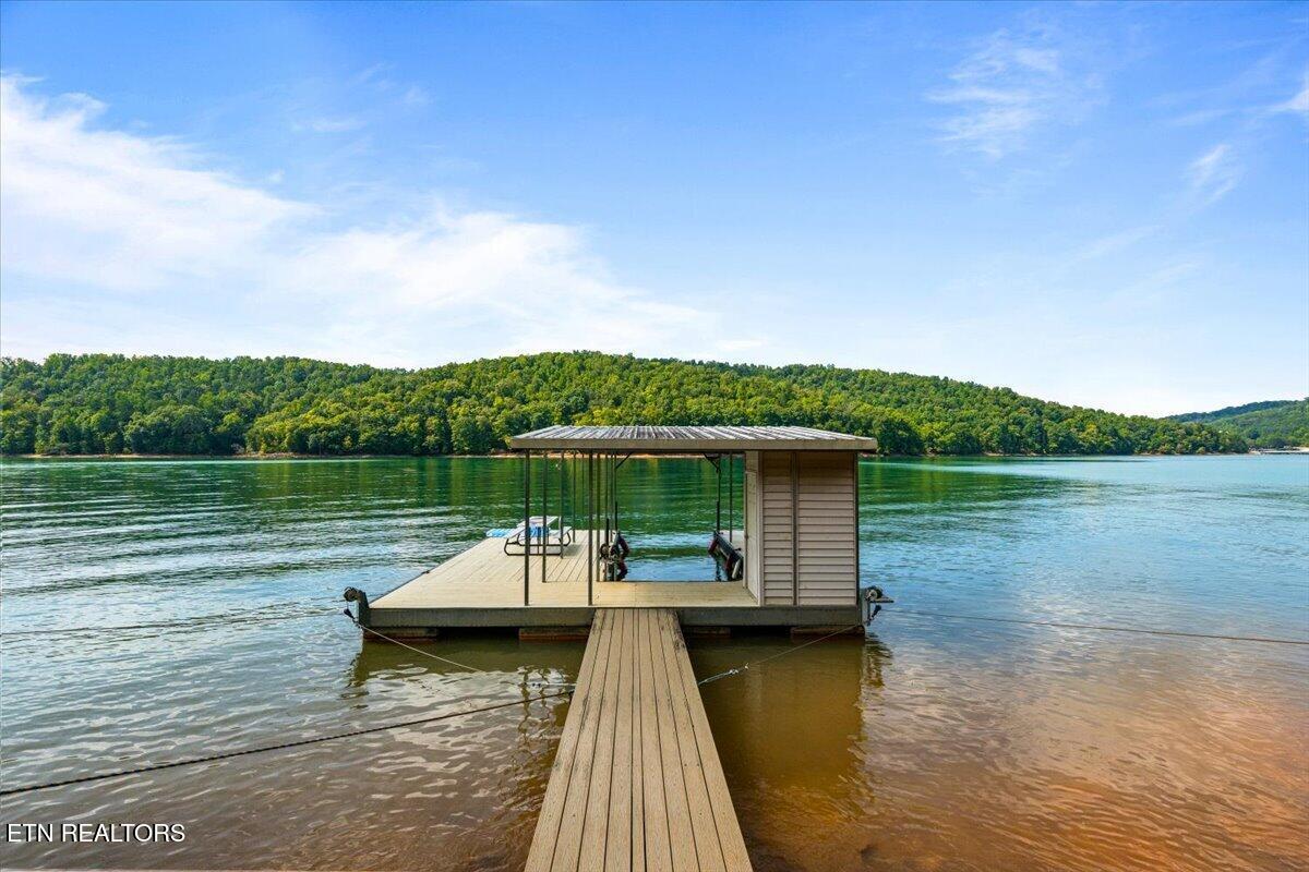 480 White Tail Lane Lafollette TN 37766