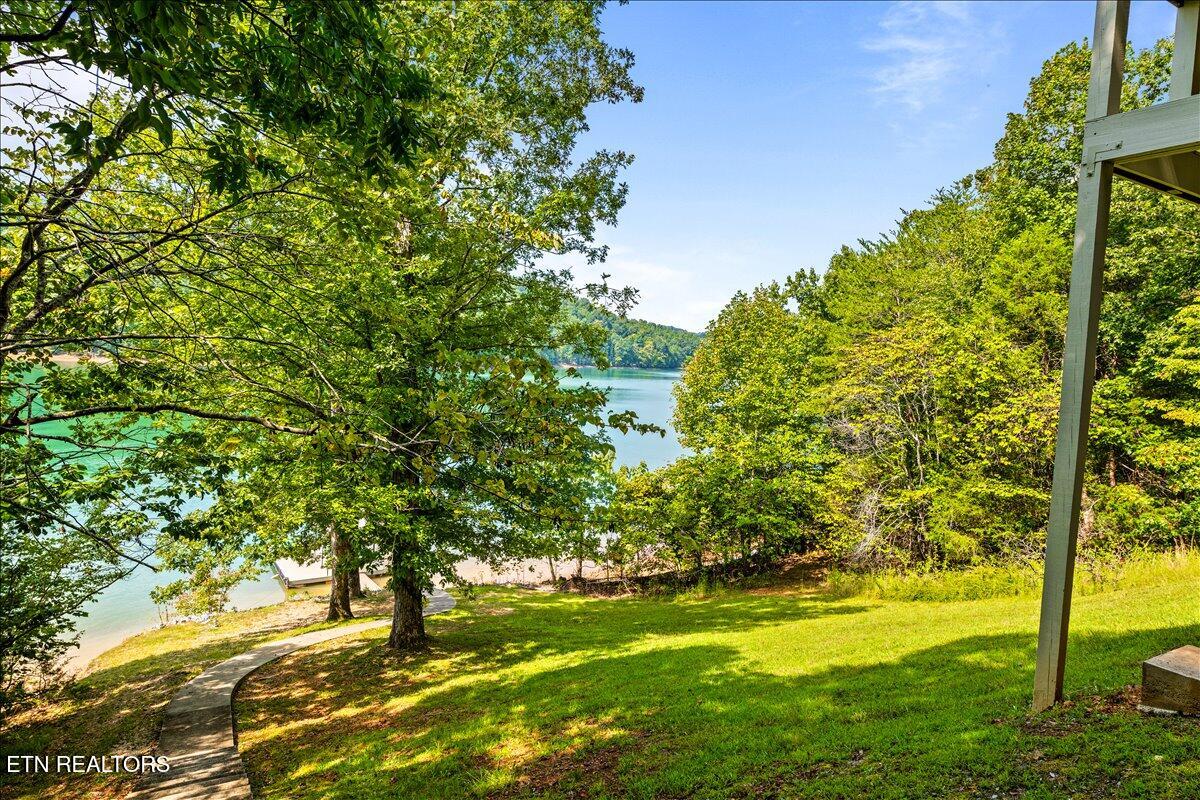 480 White Tail Lane Lafollette TN 37766