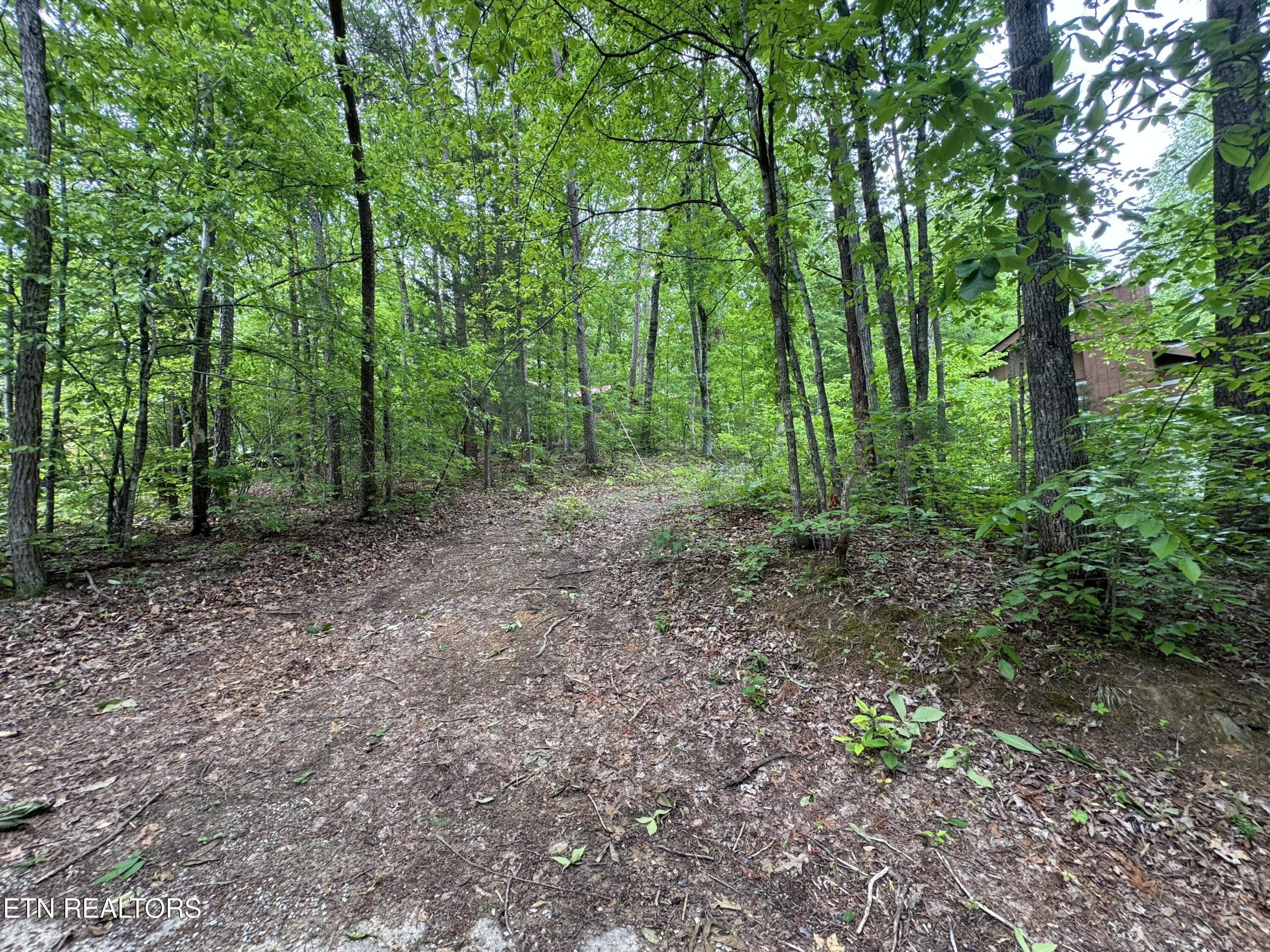 2340 Avon Circle Sevierville TN 37876