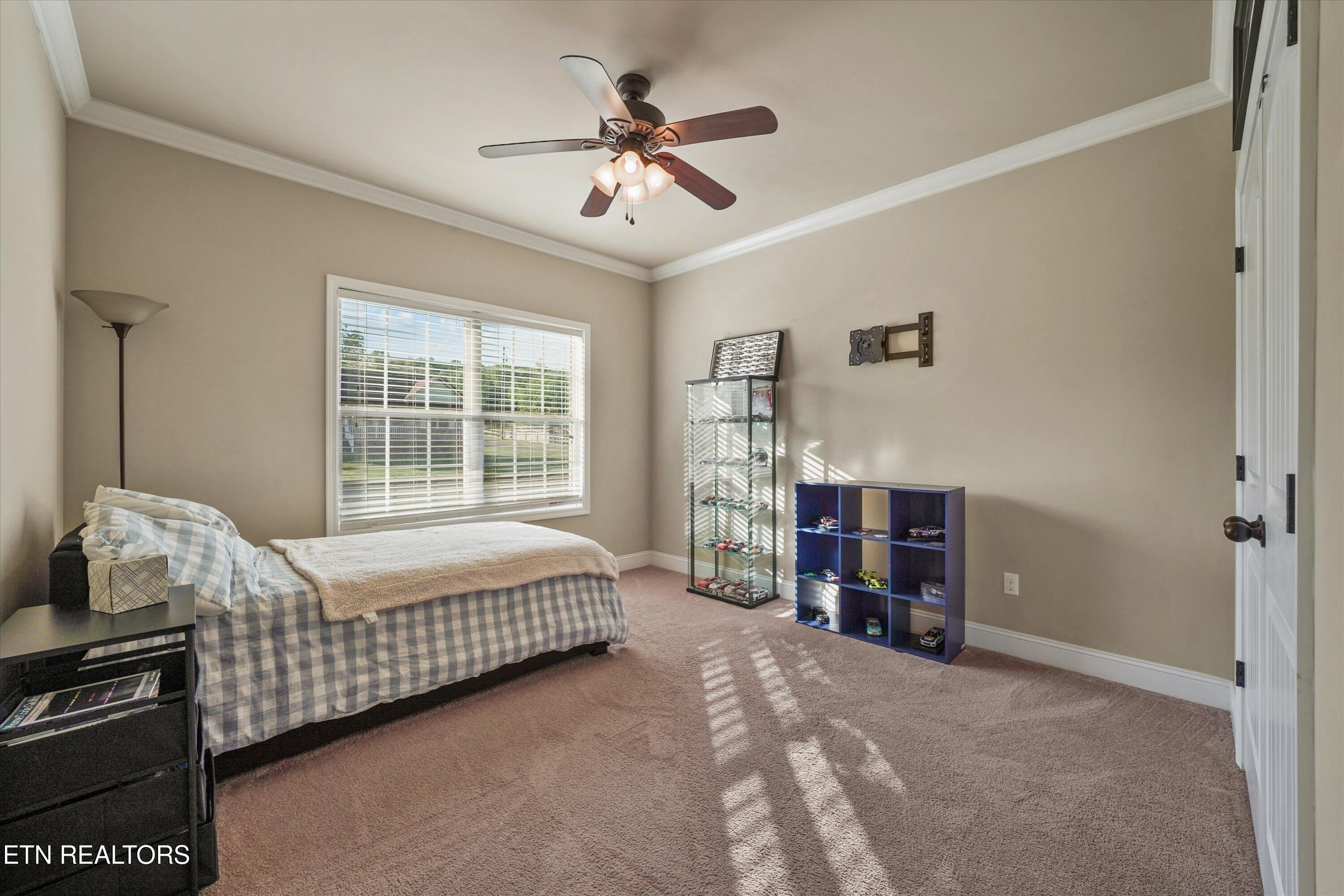 174 Zoe Circle Jacksboro TN 37757