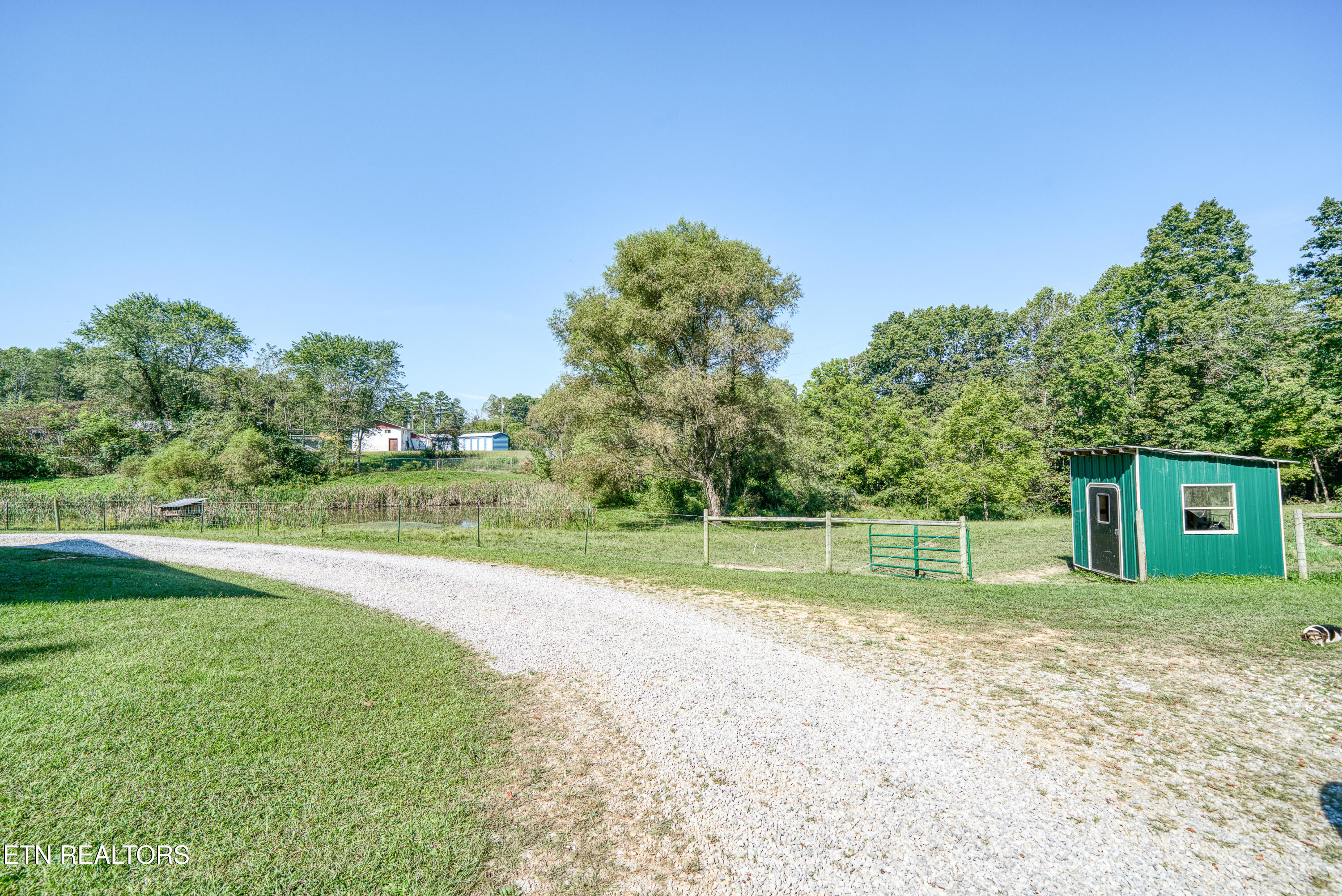 107 Cherry Street Deer Lodge TN 37726