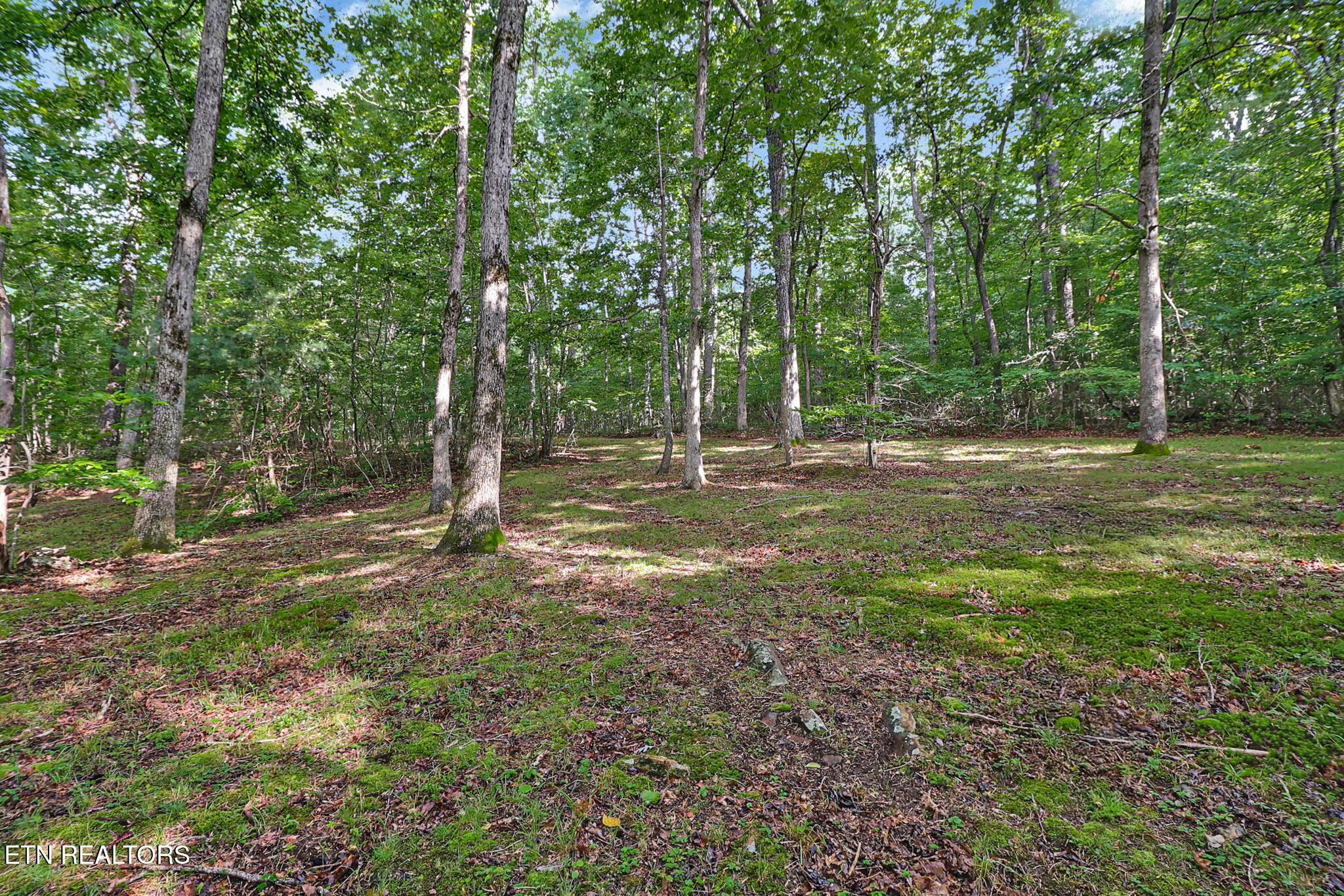 661 Grace Hill Drive Crossville TN 38571