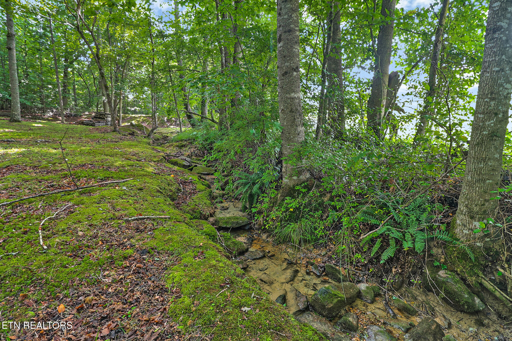 661 Grace Hill Drive Crossville TN 38571