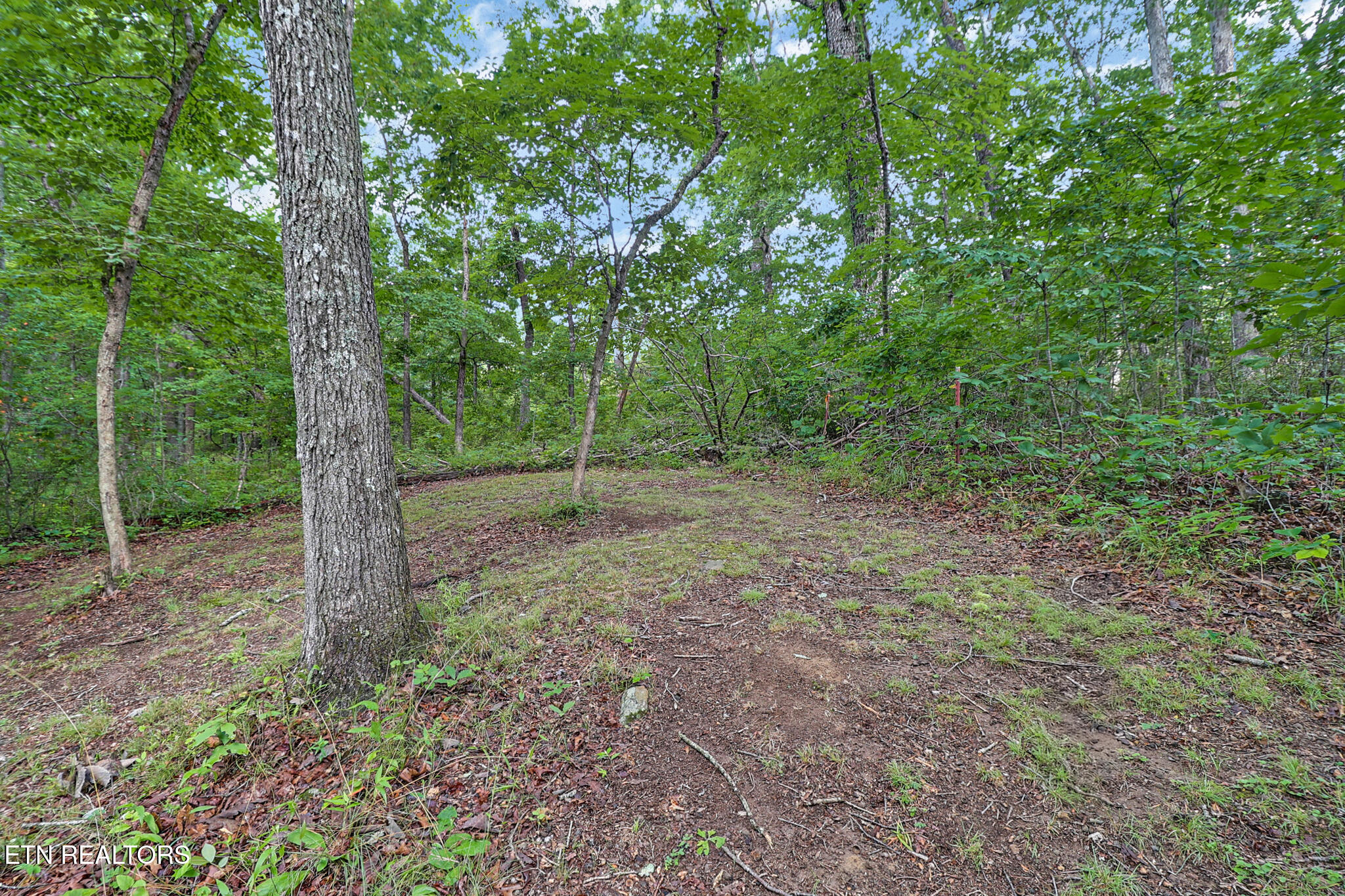 661 Grace Hill Drive Crossville TN 38571