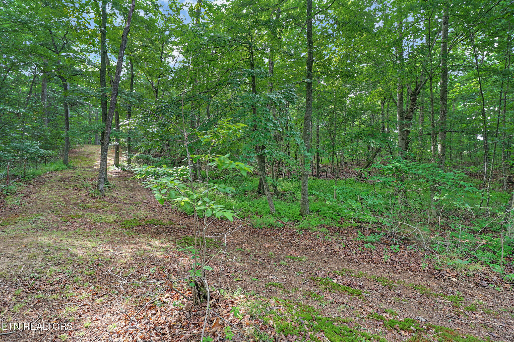 661 Grace Hill Drive Crossville TN 38571