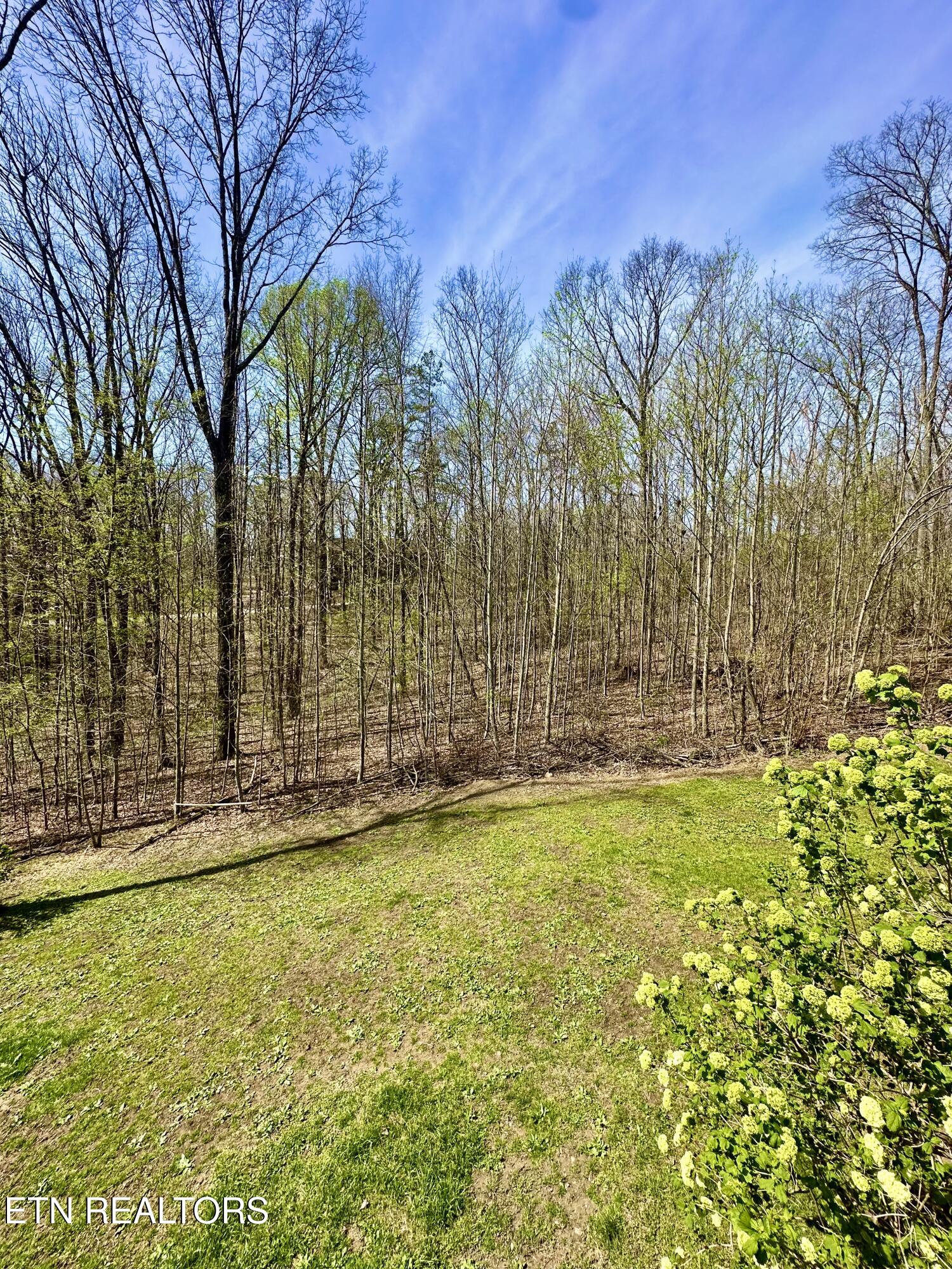80 Upper Eagles Nest Road Crab Orchard TN 37723