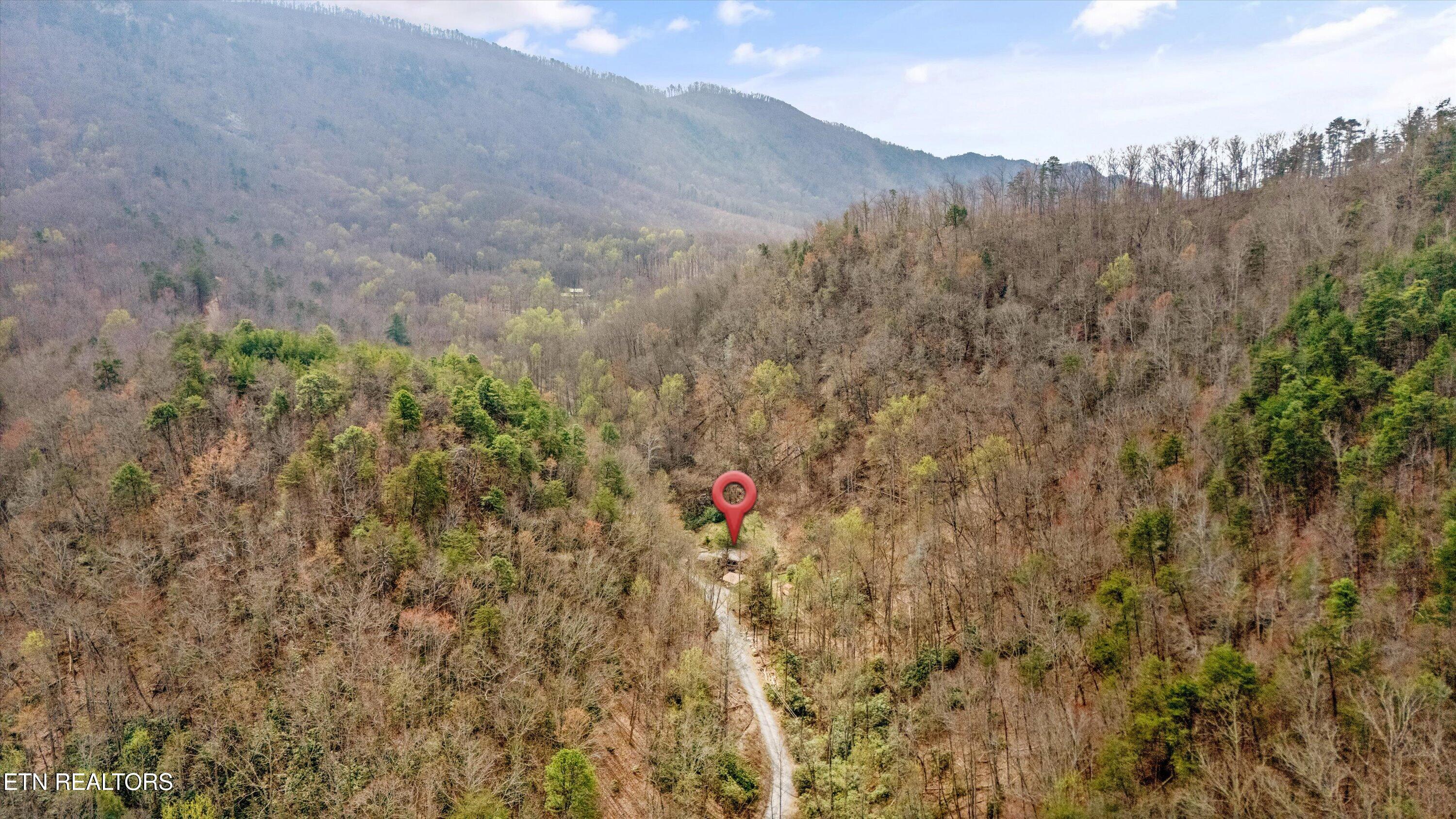 1015 Reagan Springs Road Seymour TN 37865