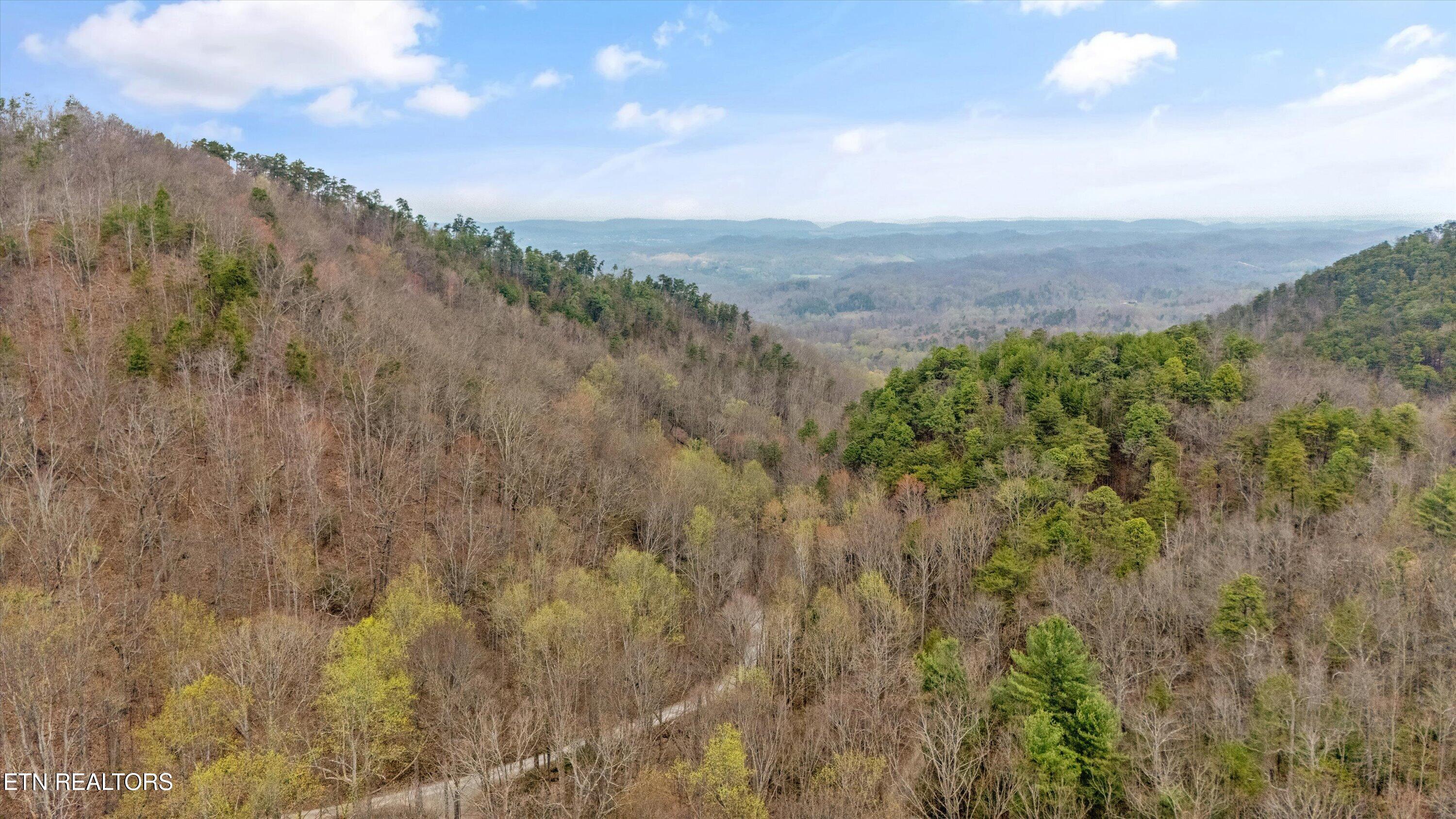 1015 Reagan Springs Road Seymour TN 37865