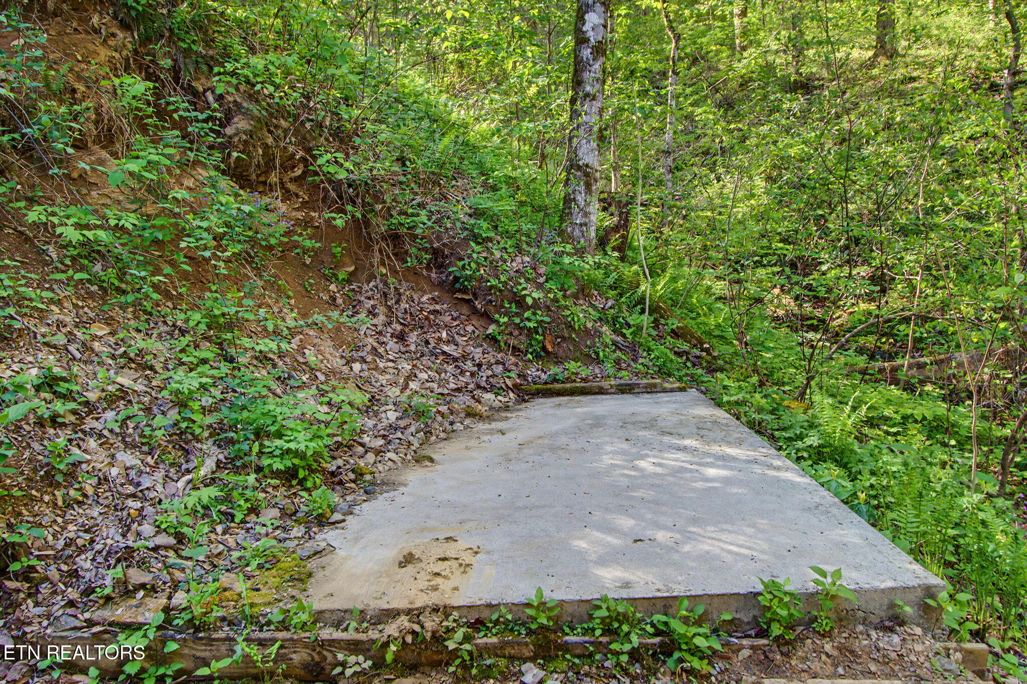 3547 Sugar Maple Loop Sevierville TN 37862