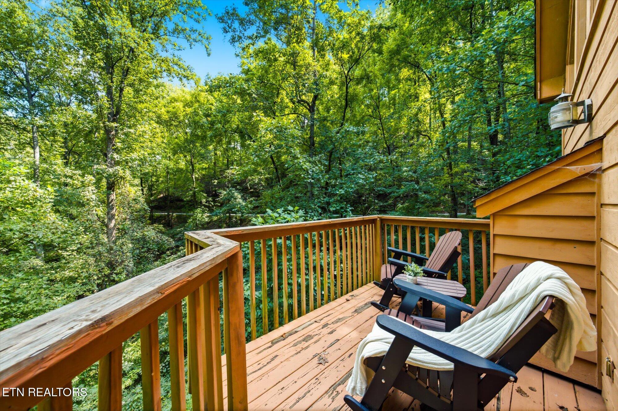 3163 Sourwood Way Sevierville TN 37862