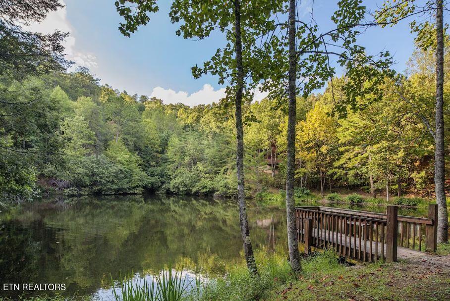 3163 Sourwood Way Sevierville TN 37862