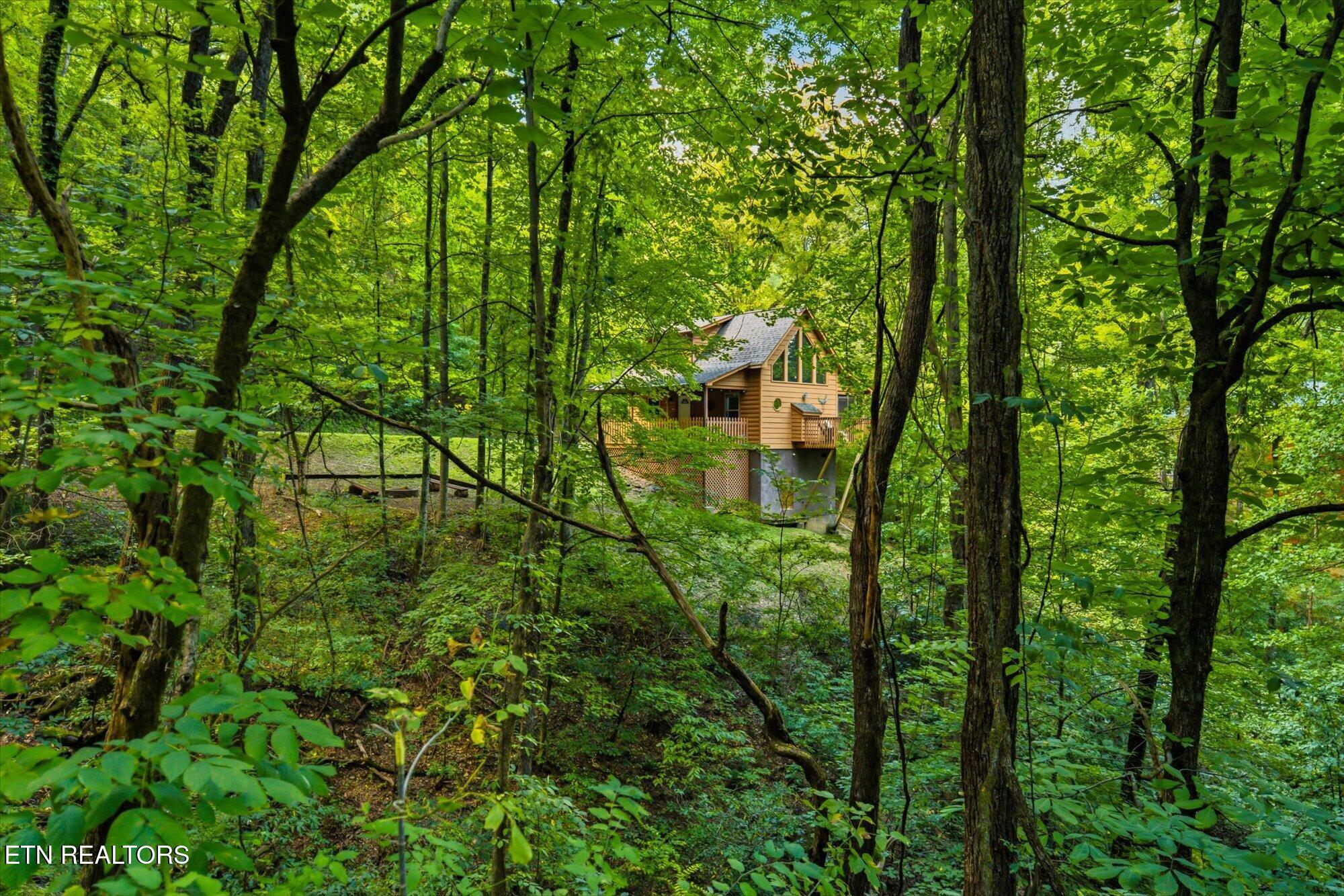 3163 Sourwood Way Sevierville TN 37862