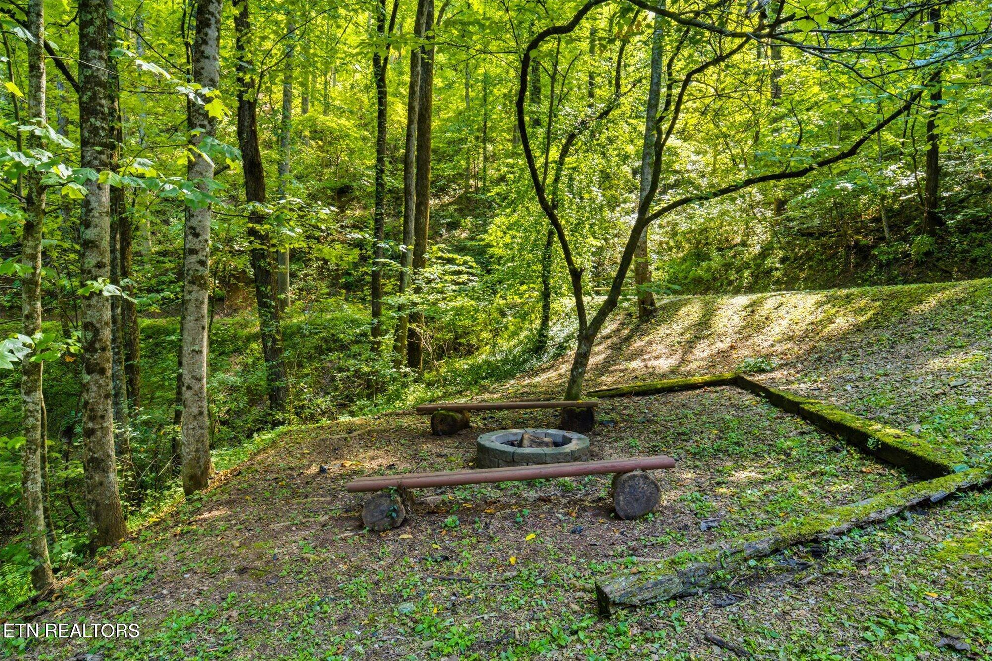 3163 Sourwood Way Sevierville TN 37862