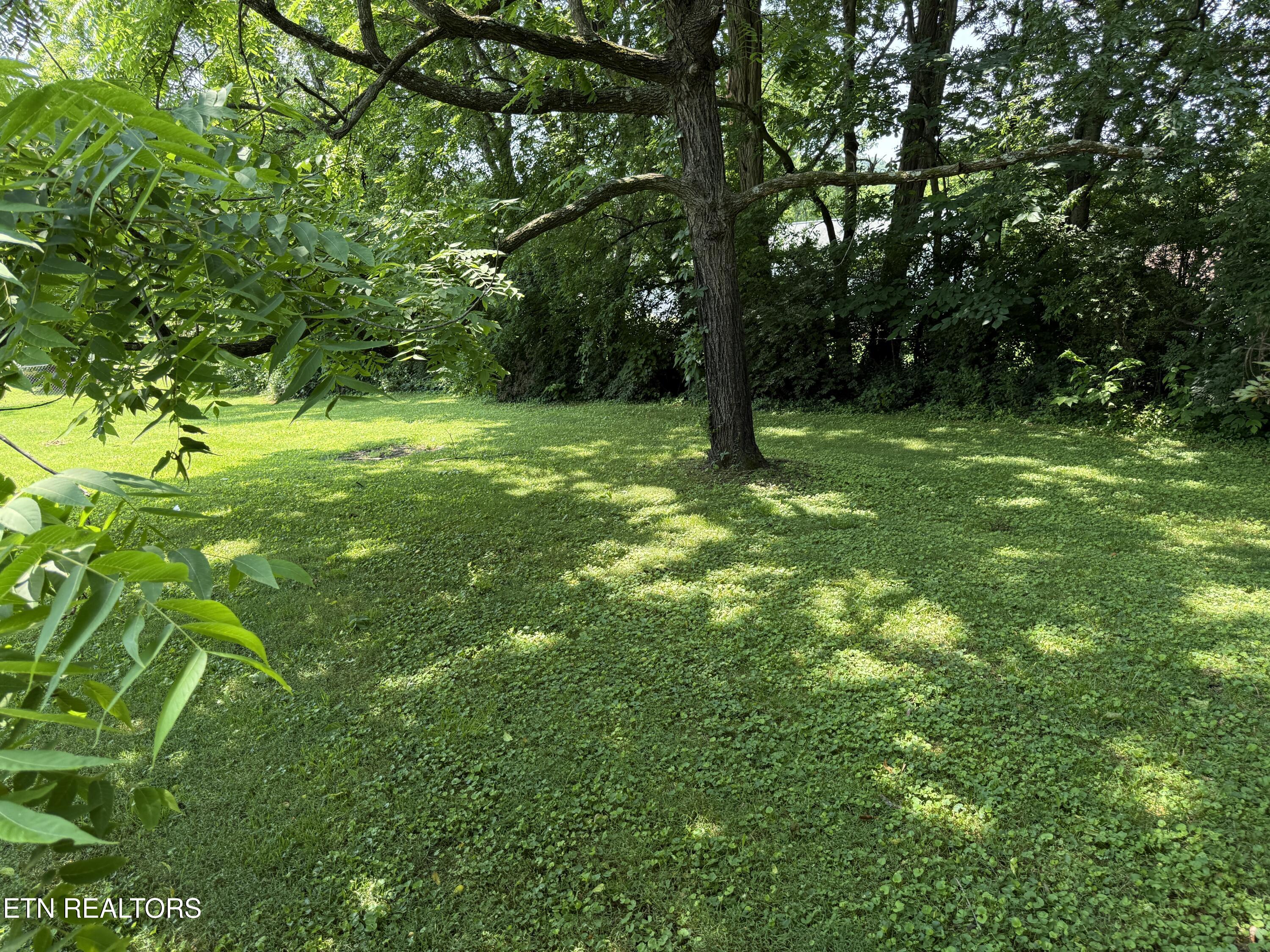 5309 Rainbow Road Knoxville TN 37912