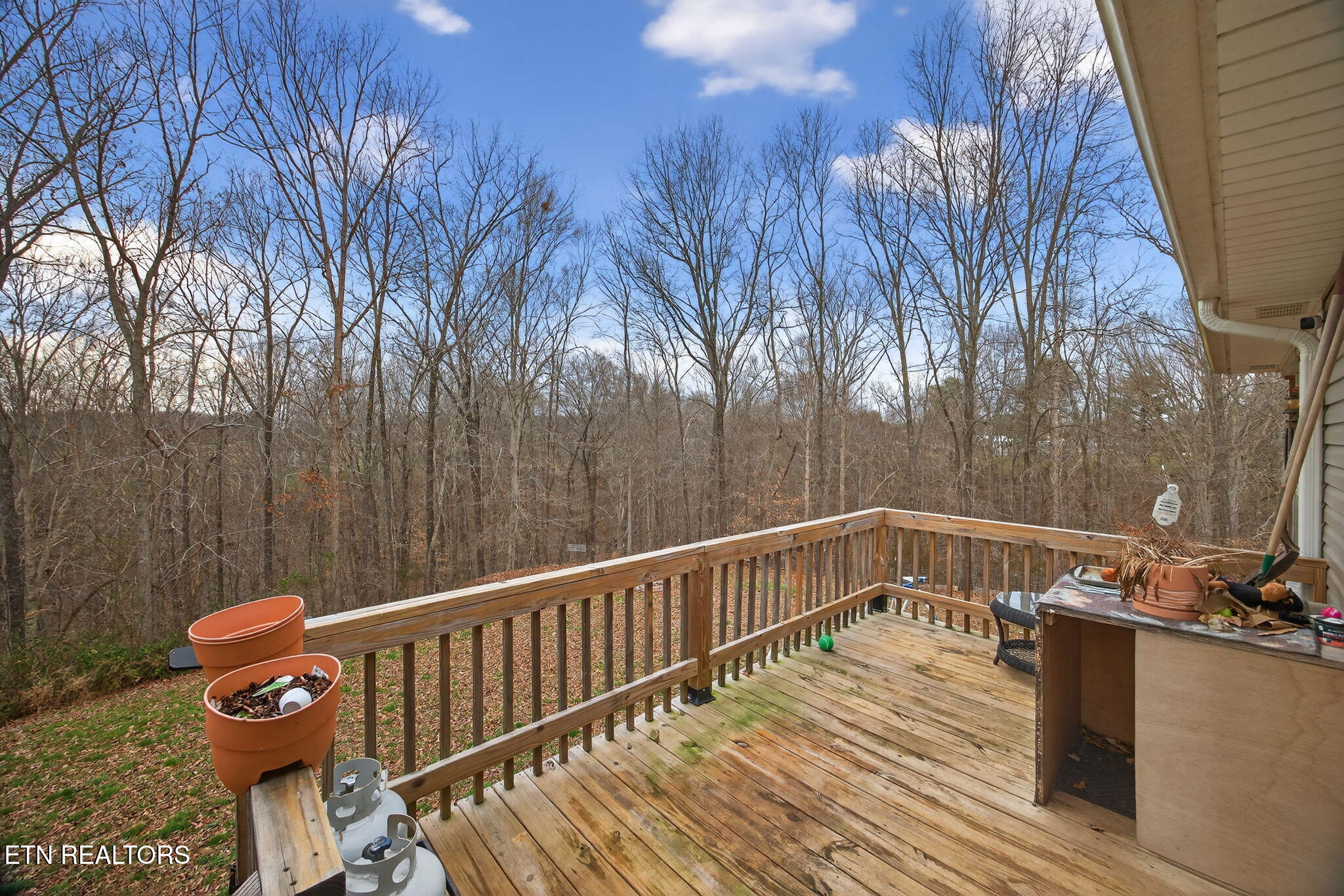 248 Bm Johnson Lane Gainesboro TN 38562