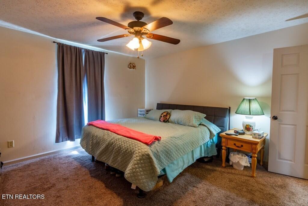 501 Pin Hook Road Spring City TN 37381