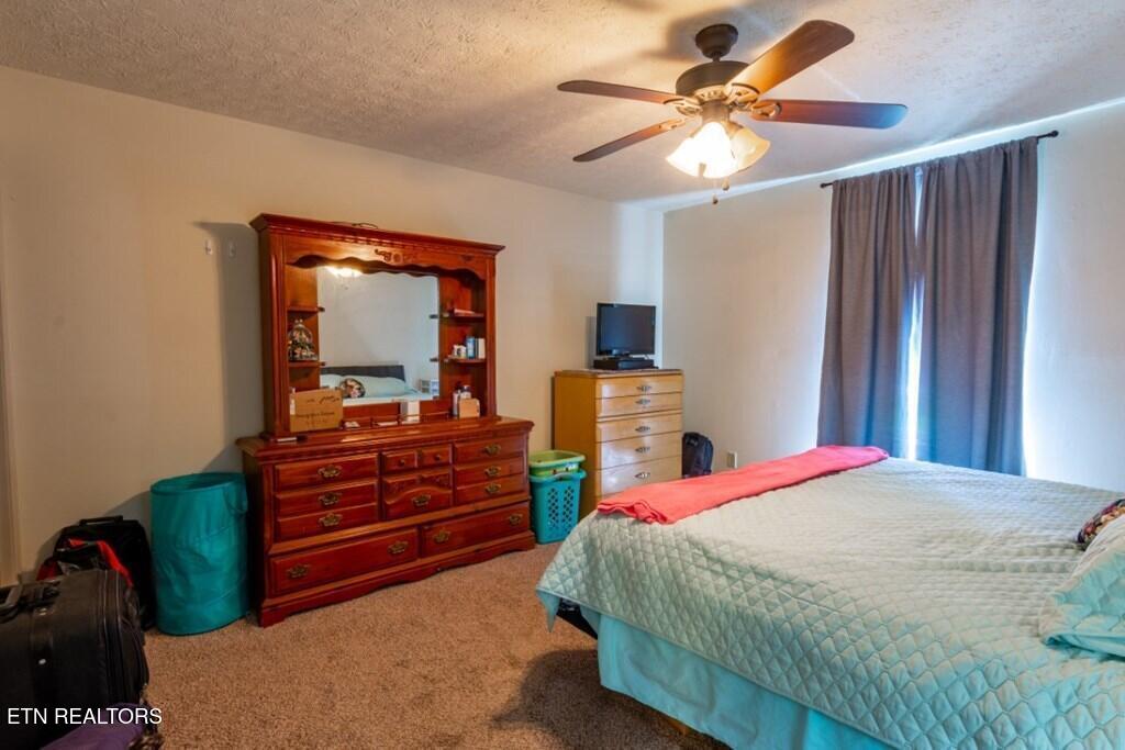 501 Pin Hook Road Spring City TN 37381