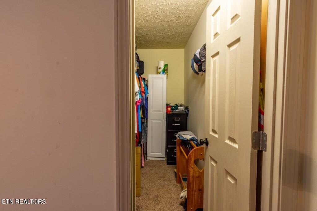 501 Pin Hook Road Spring City TN 37381