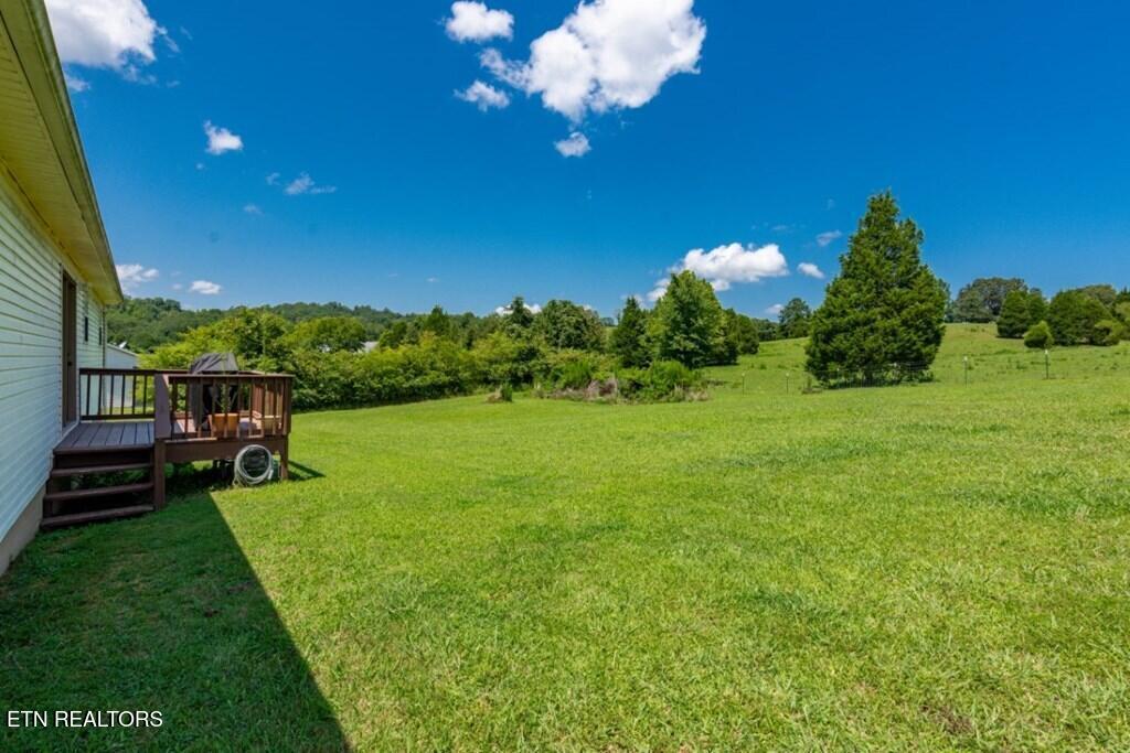 501 Pin Hook Road Spring City TN 37381