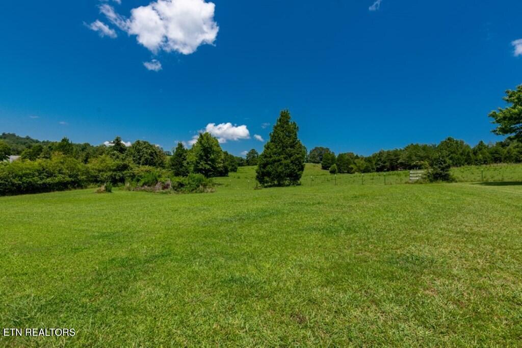 501 Pin Hook Road Spring City TN 37381
