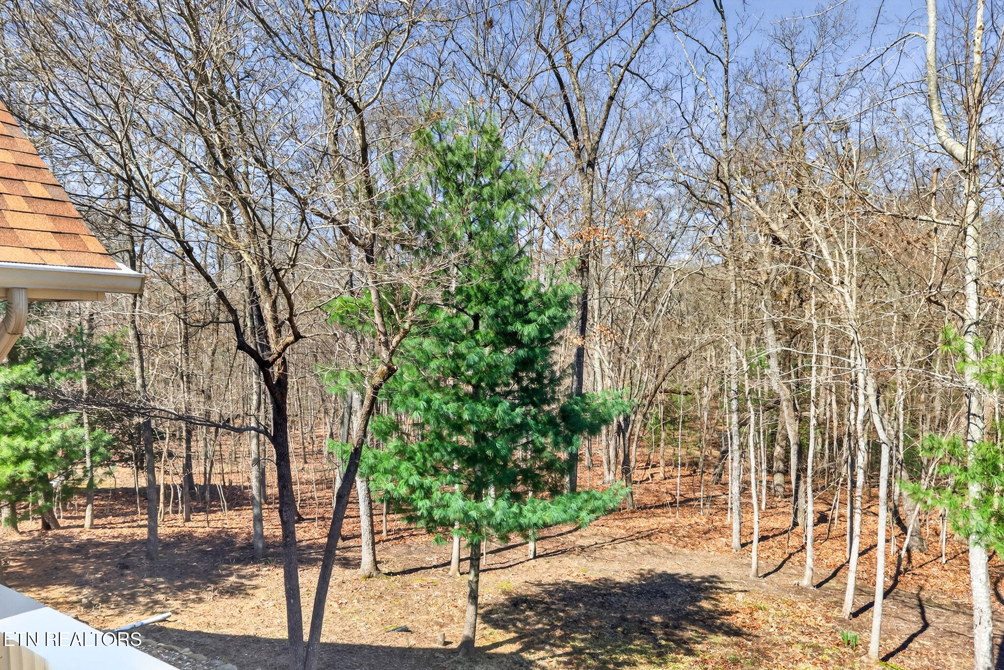 123 Northridge Drive Crossville TN 38558