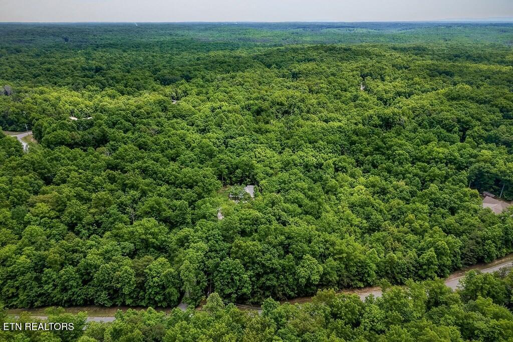 1507 E Overlook Road Monterey TN 38574