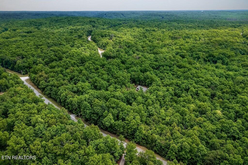 1507 E Overlook Road Monterey TN 38574