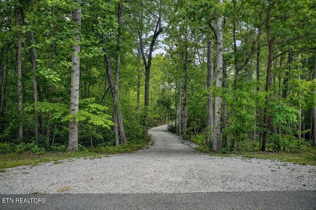 1507 E Overlook Road Monterey TN 38574