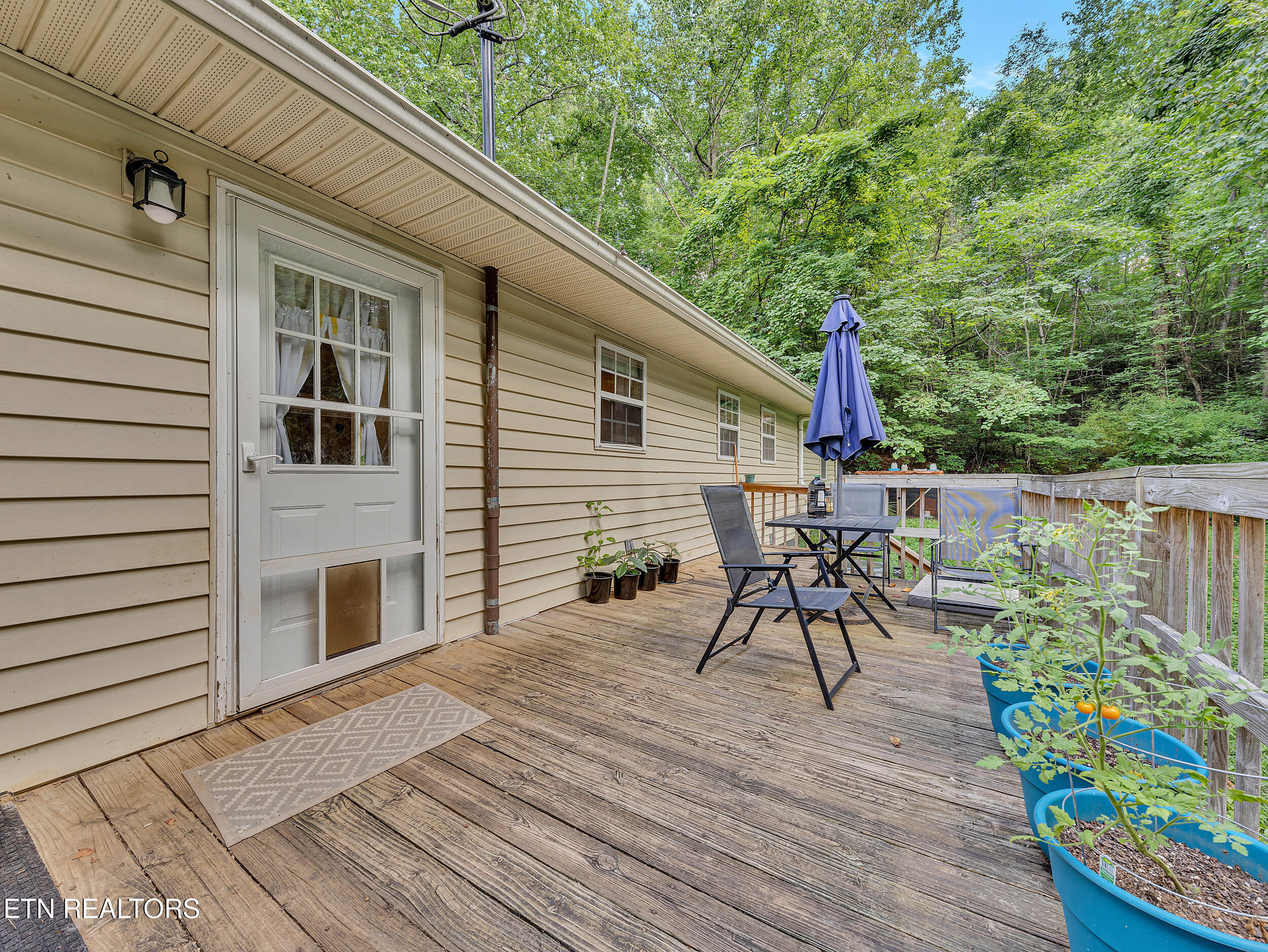 6923 Hurst Lane Knoxville TN 37918