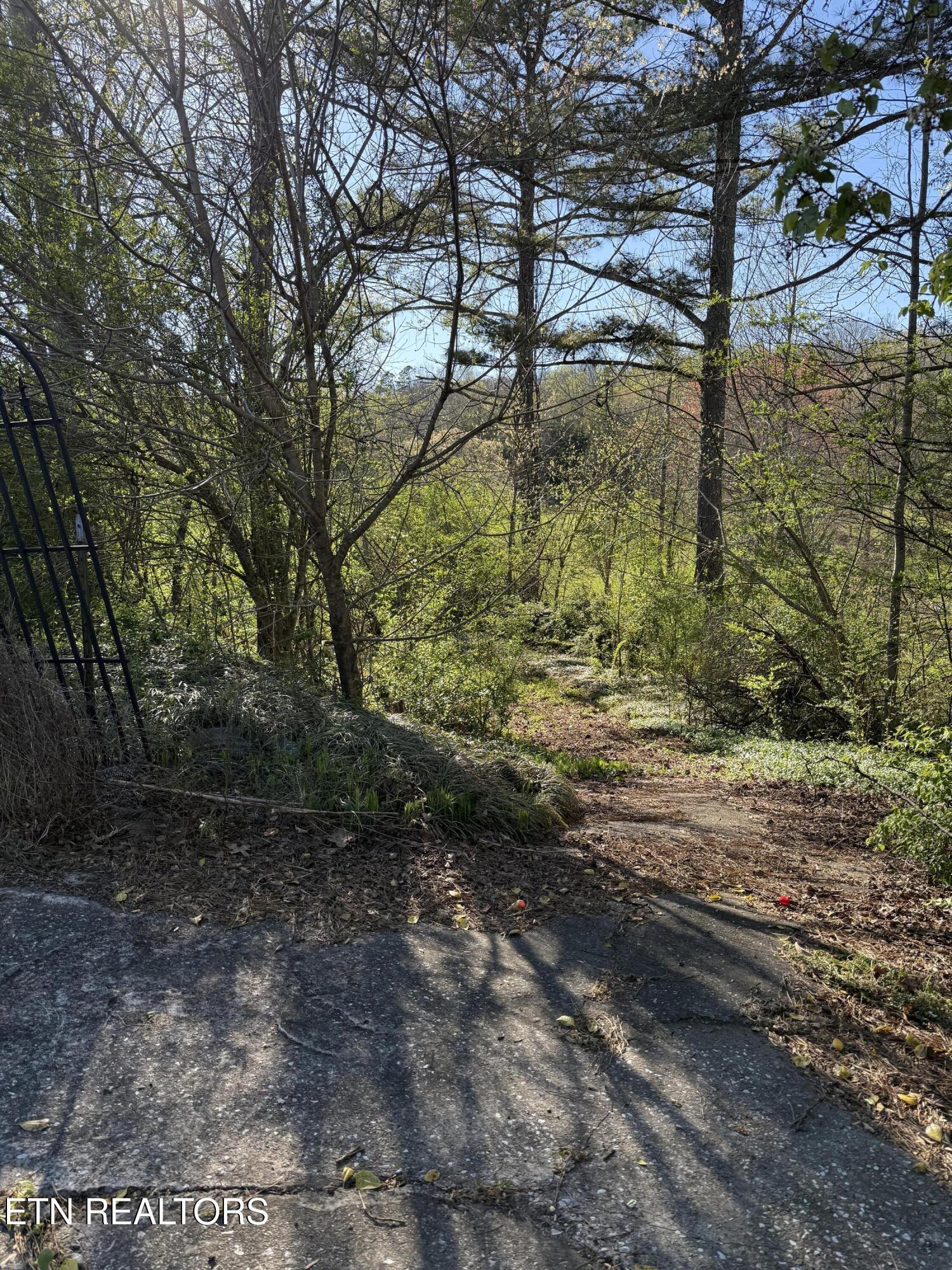 1128 Old Harriman Highway Oliver Springs TN 37840