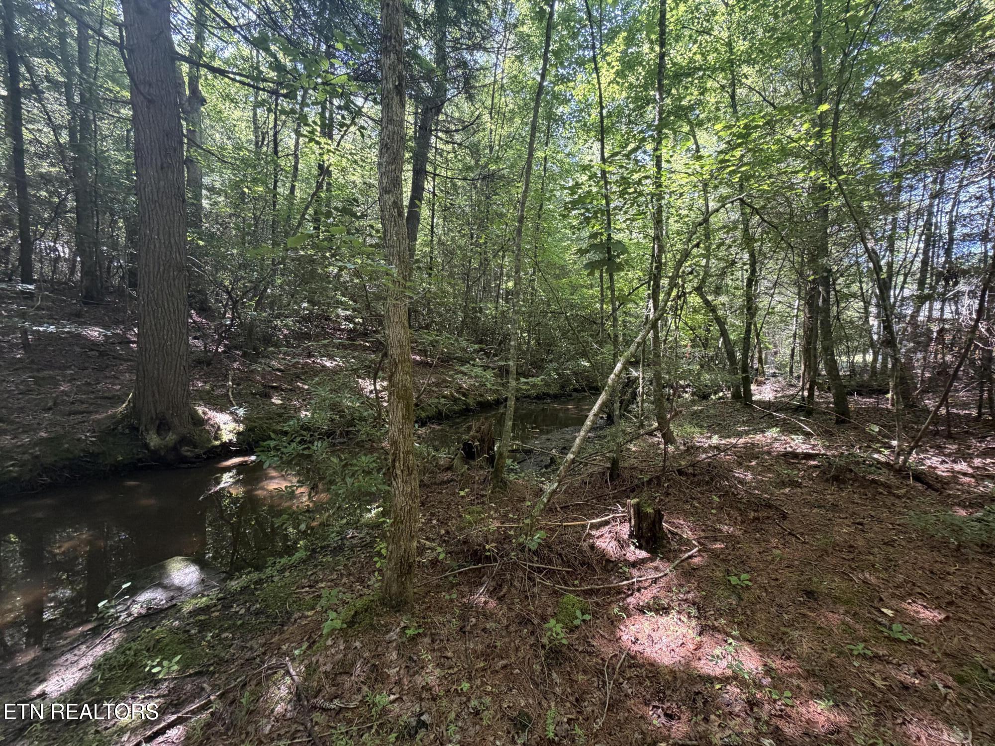373 Georgee Road Jamestown TN 38556