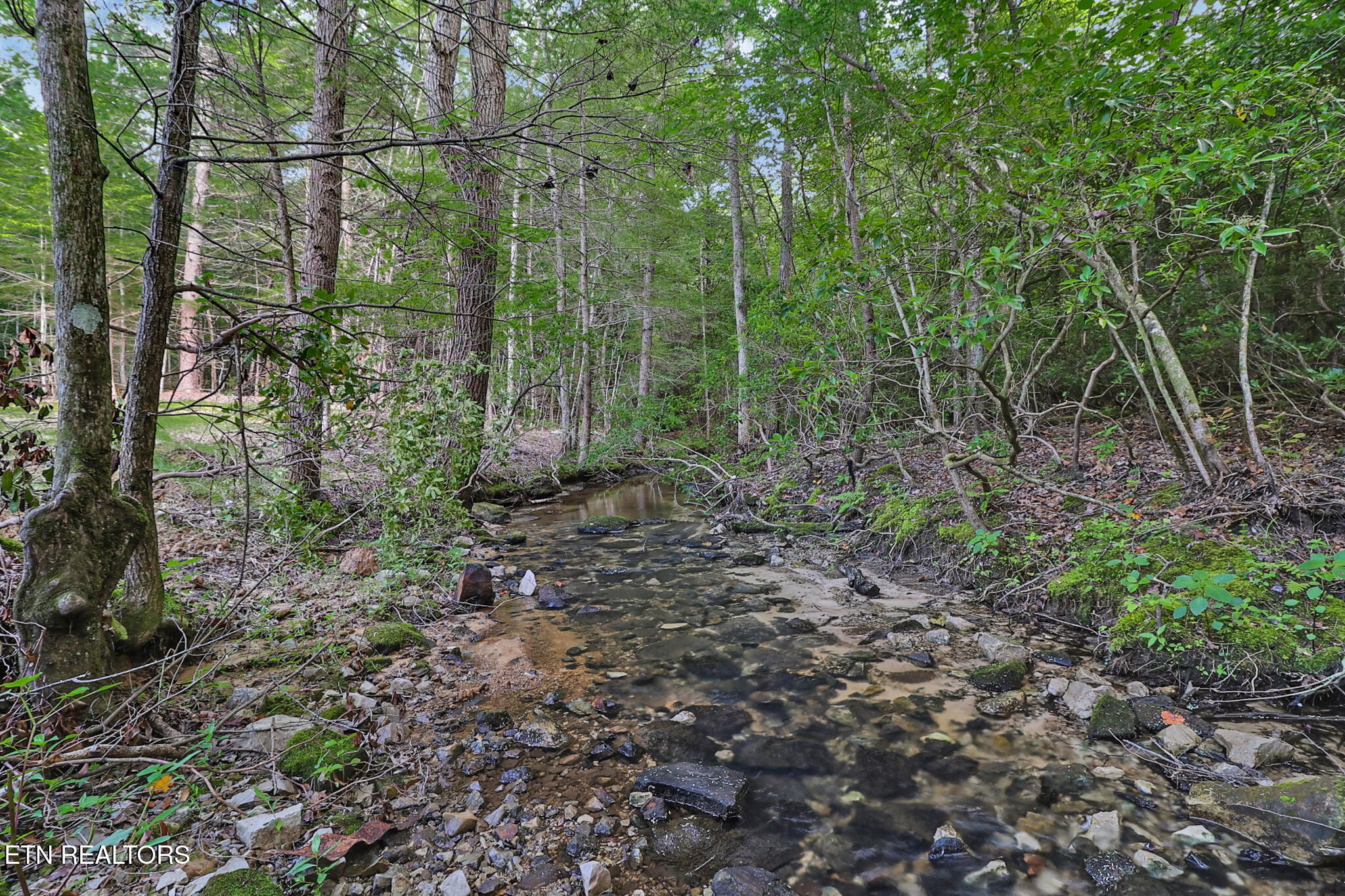 373 Georgee Road Jamestown TN 38556