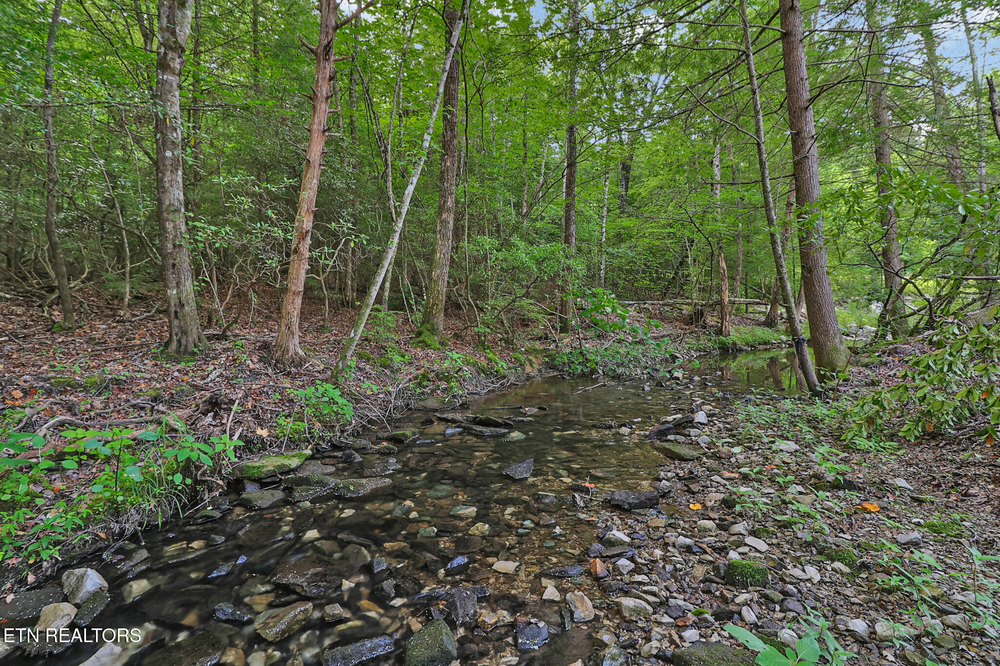373 Georgee Road Jamestown TN 38556