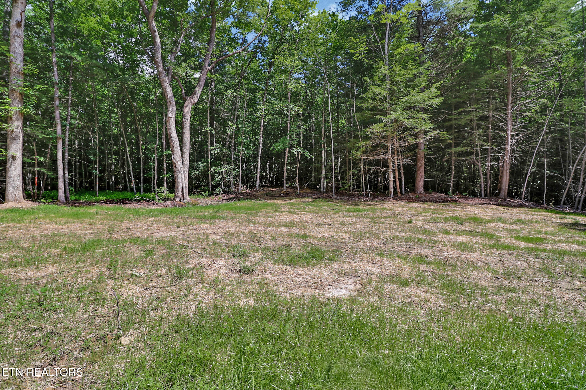 373 Georgee Road Jamestown TN 38556