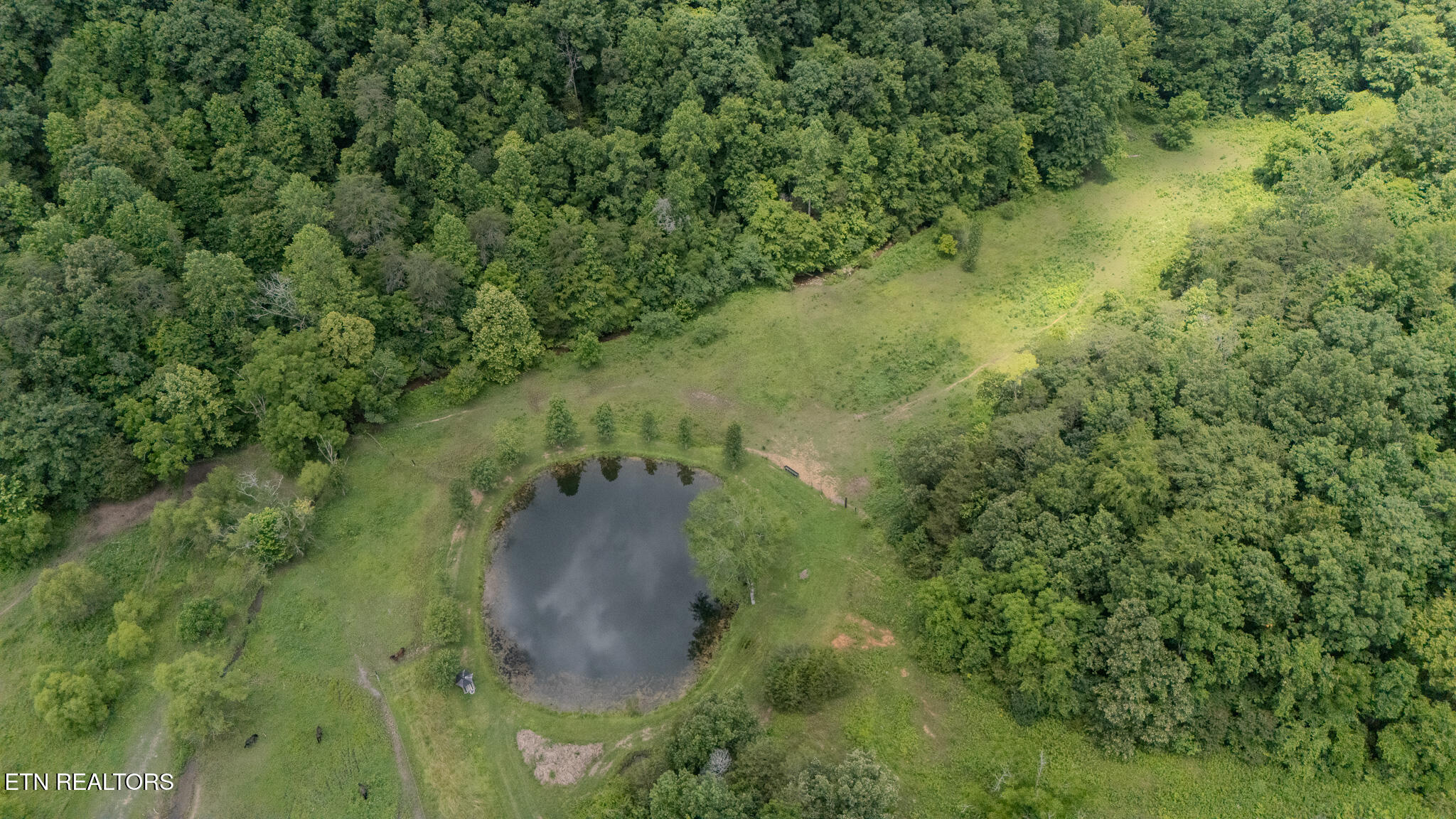 9211 Brock Road Knoxville TN 37938