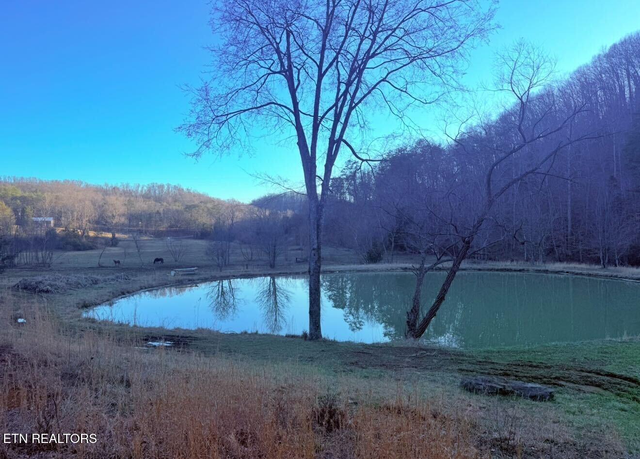 9211 Brock Road Knoxville TN 37938