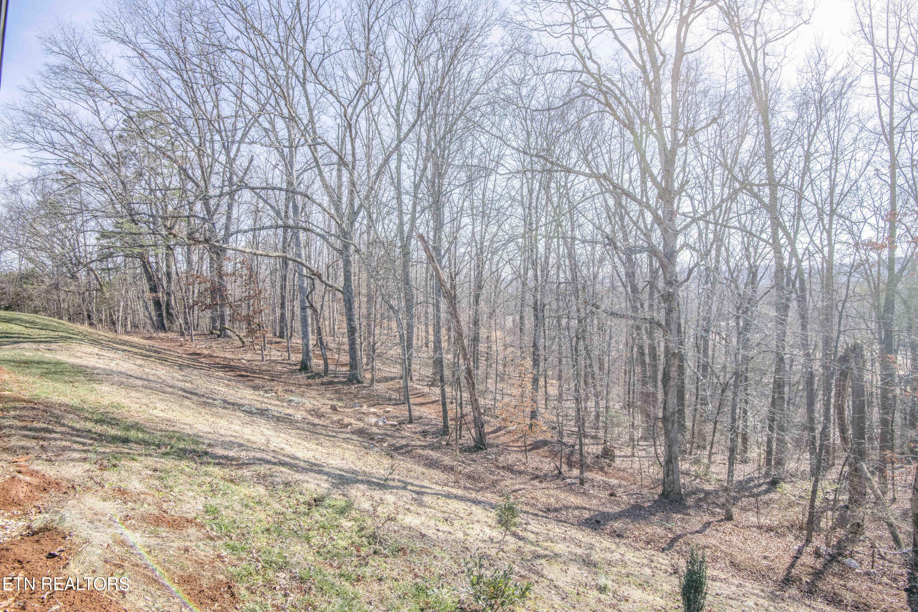 295 Cedar Branch Trail Lenoir City TN 37772