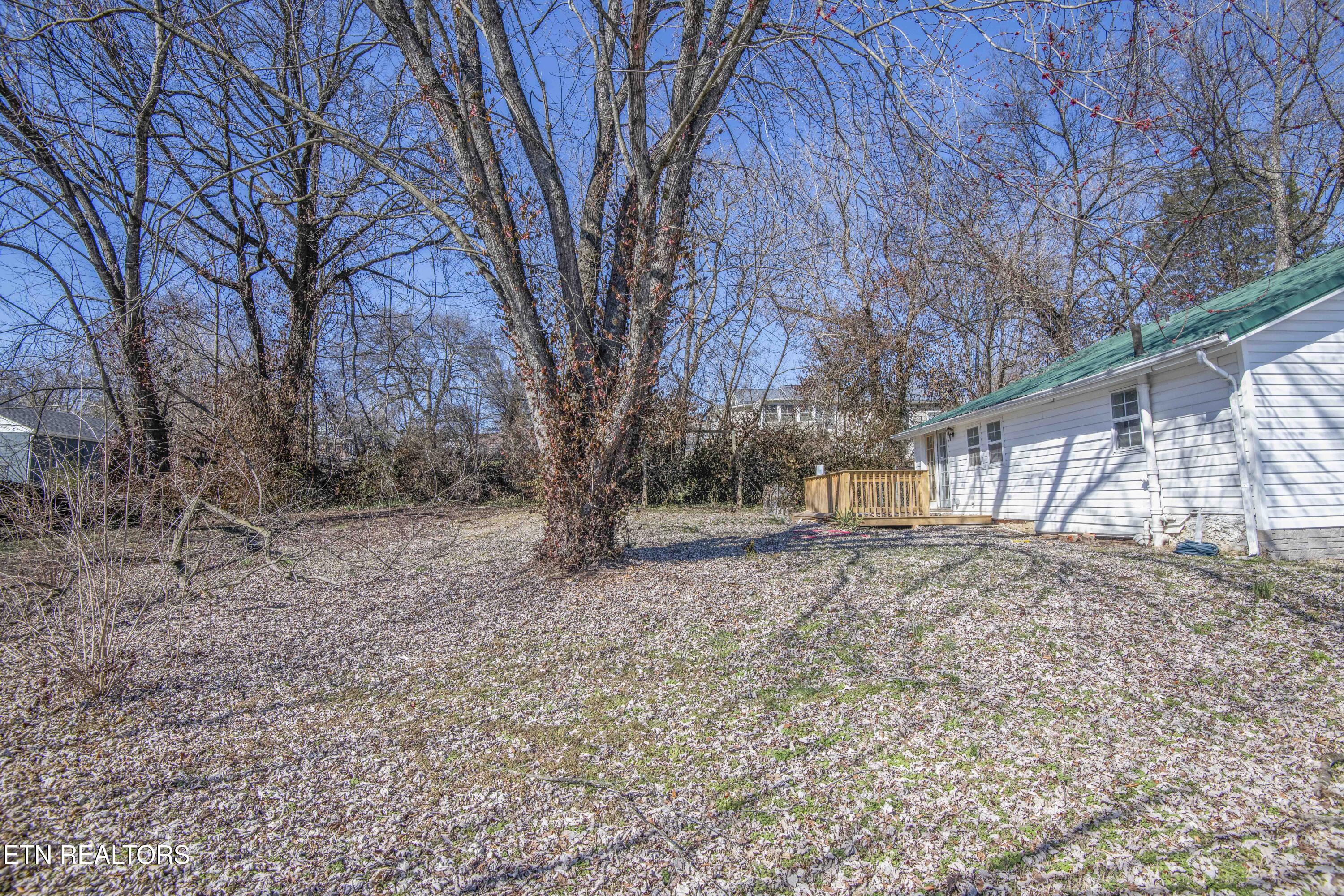 119 Yankee Street Knoxville TN 37914