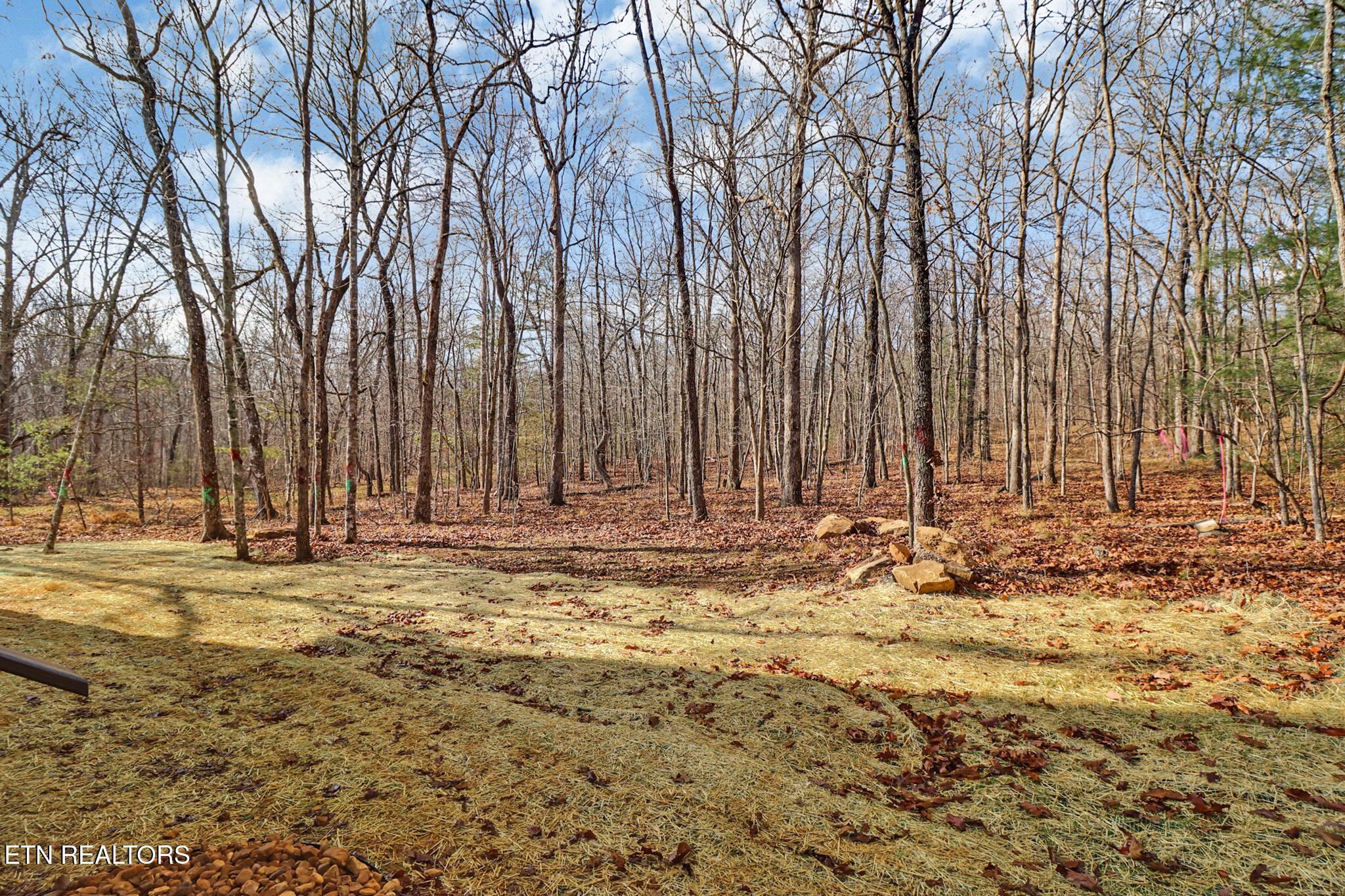 232 Westchester Drive Crossville TN 38558