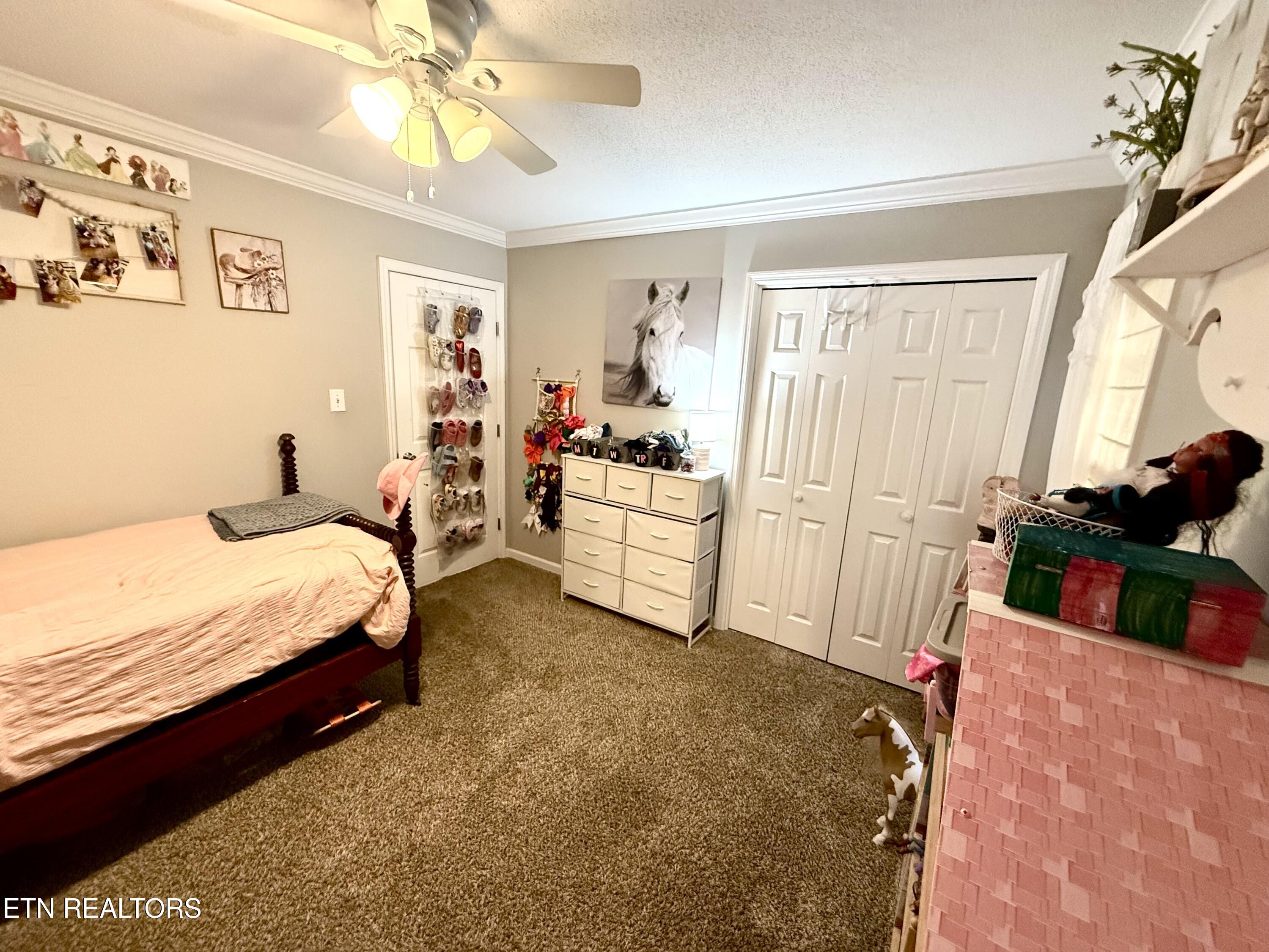 808 Whitesburg Drive Knoxville TN 37918