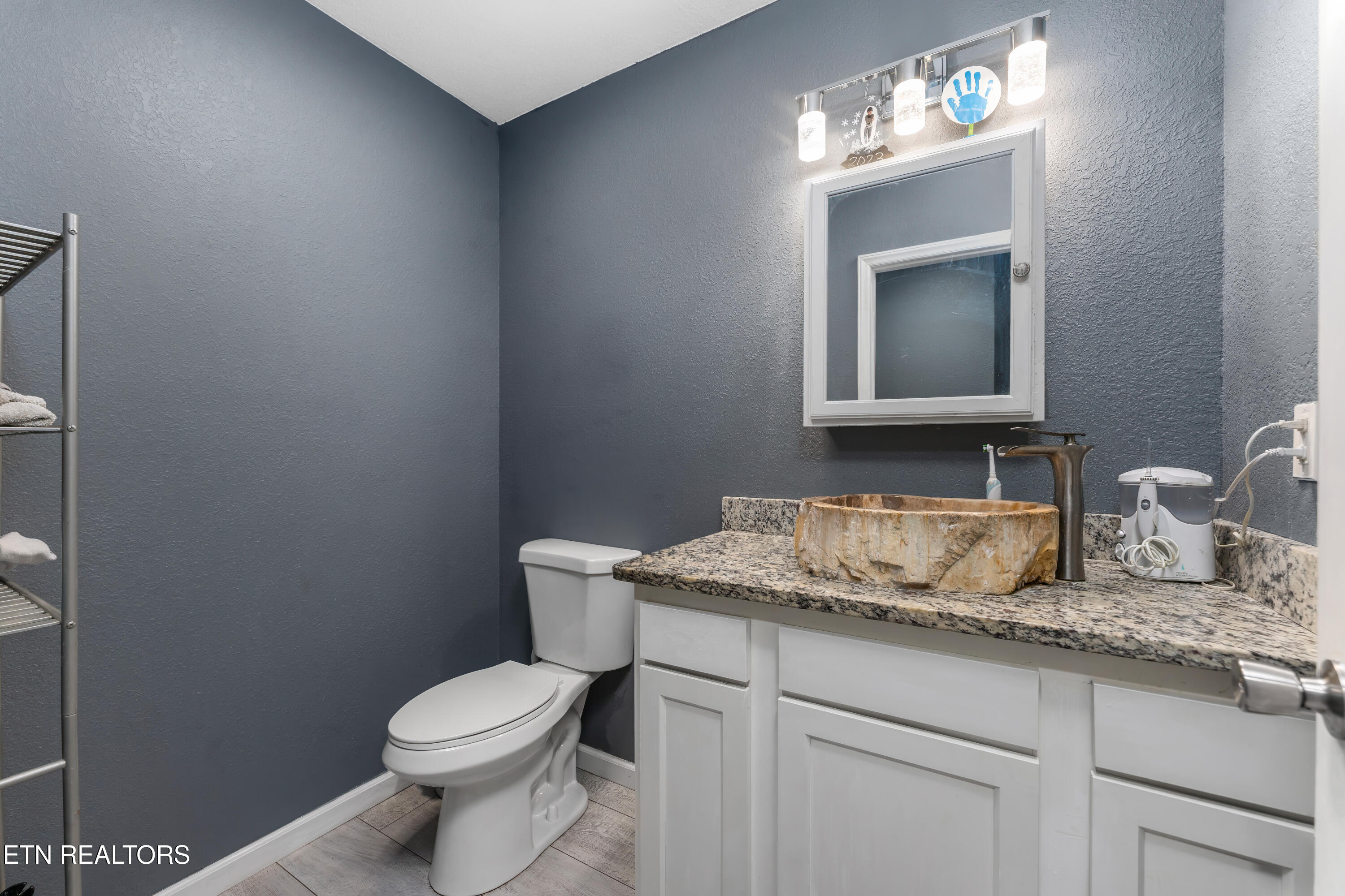 1036 Stokley Court Dandridge TN 37725
